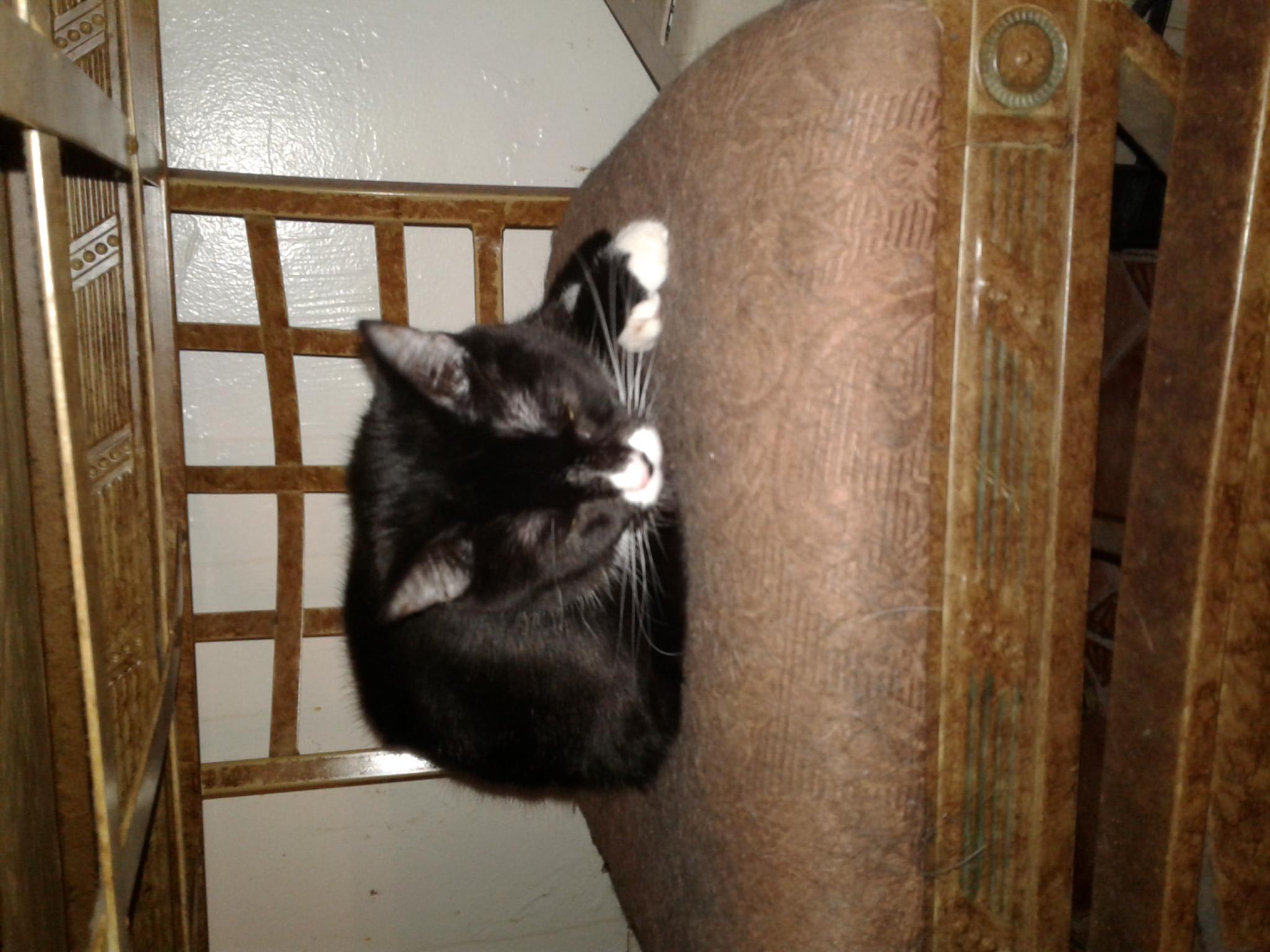 Question details sensitive content