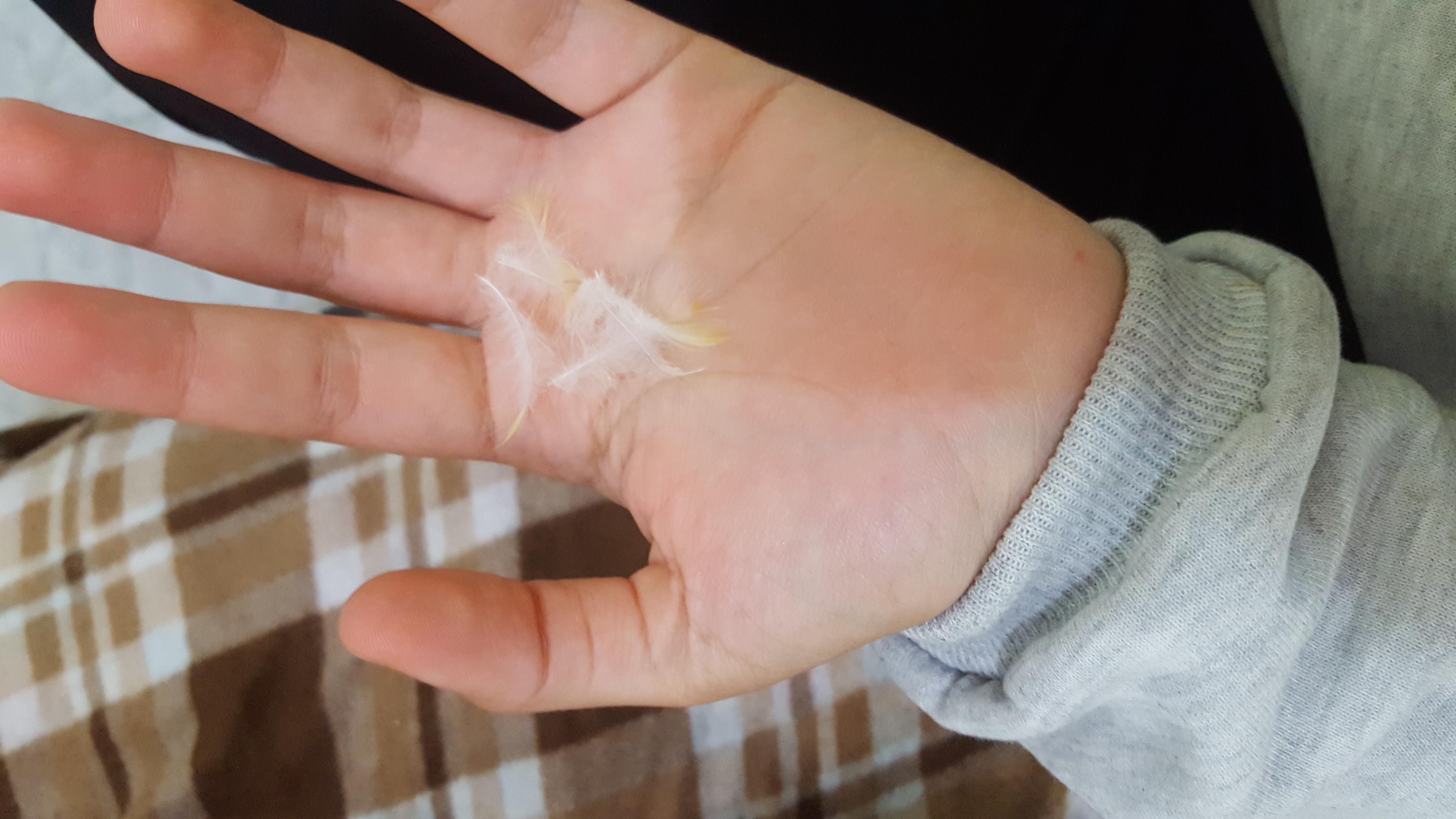 Question details sensitive content