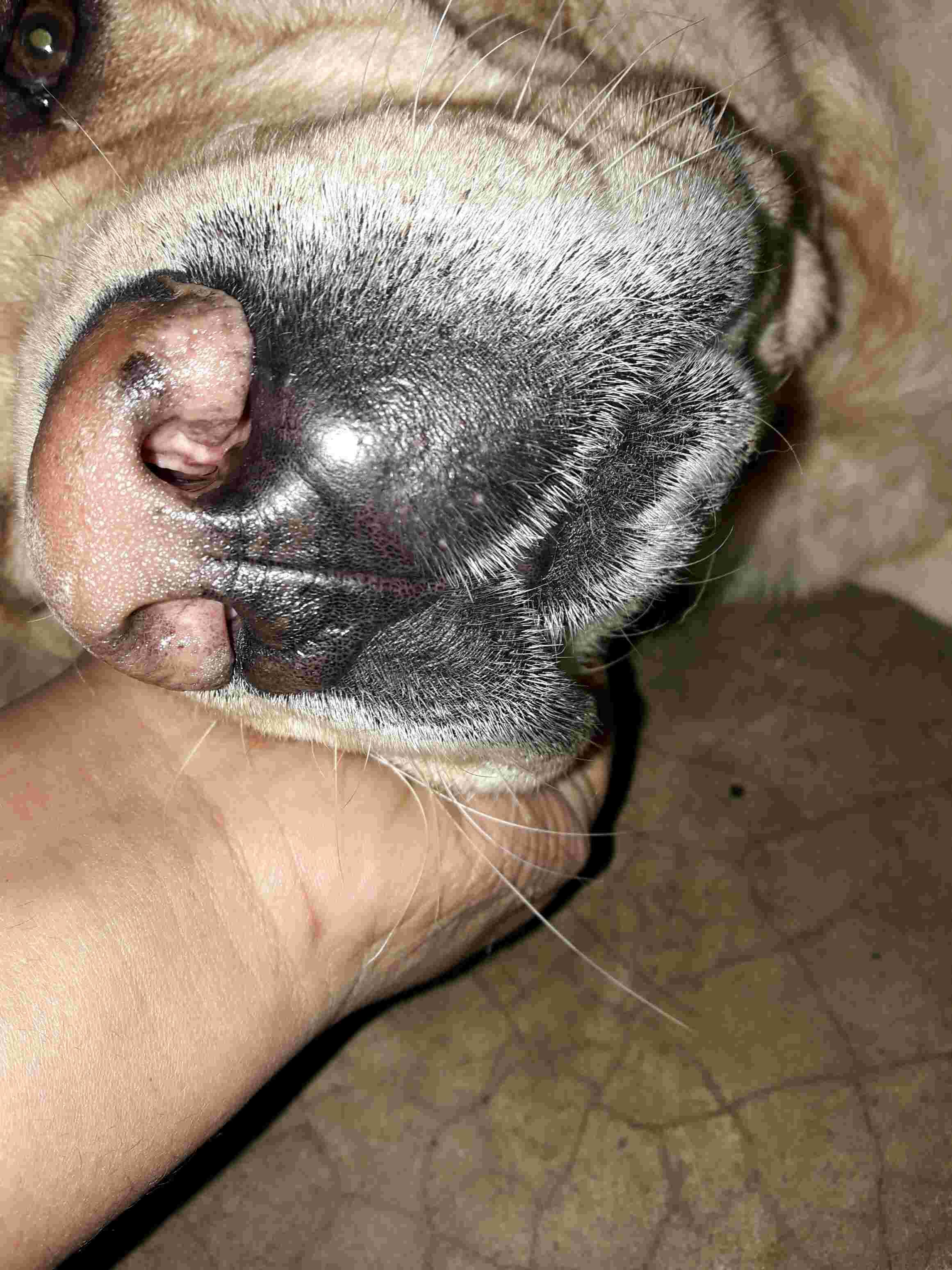 Question details sensitive content