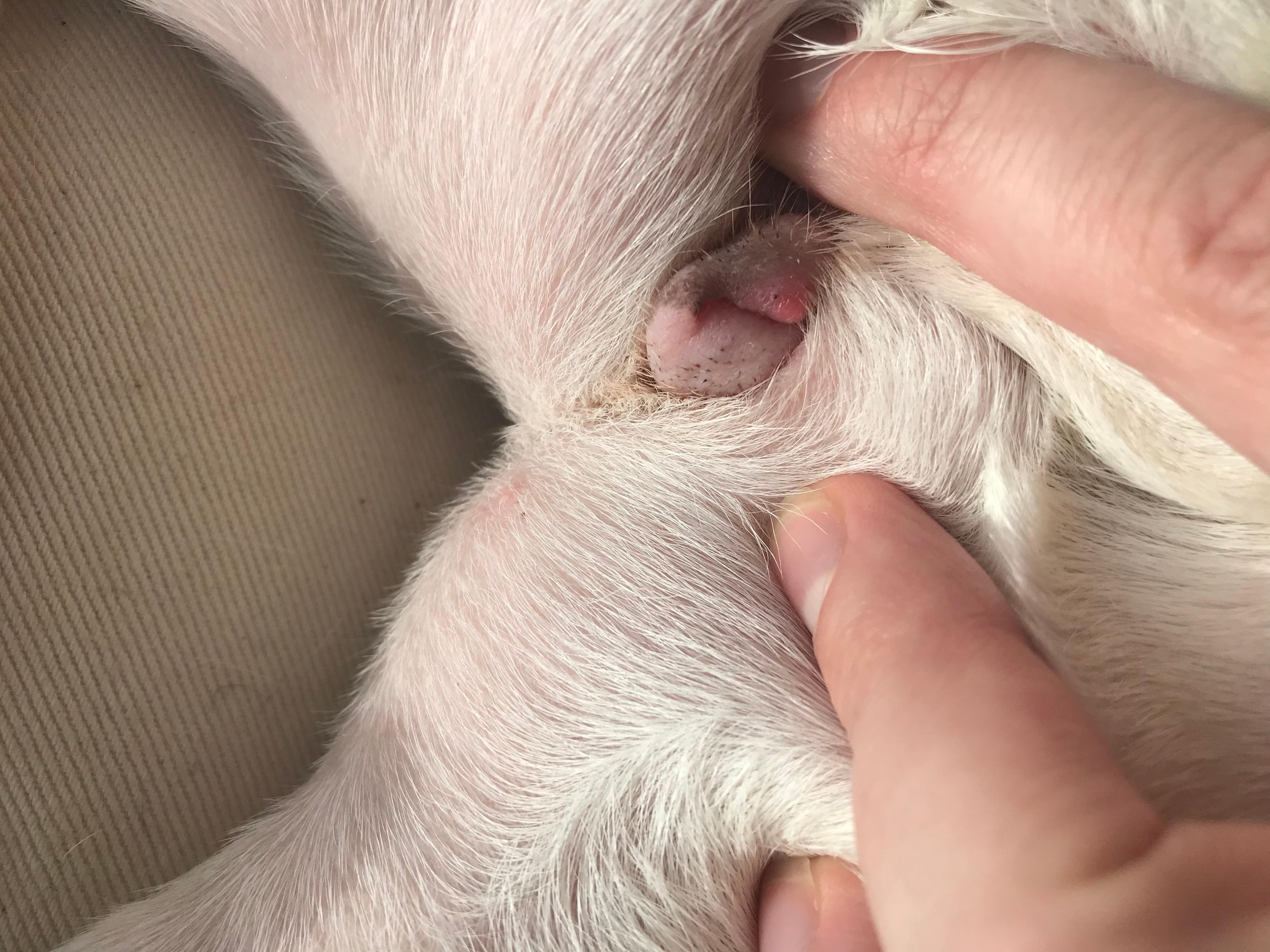 Question details sensitive content