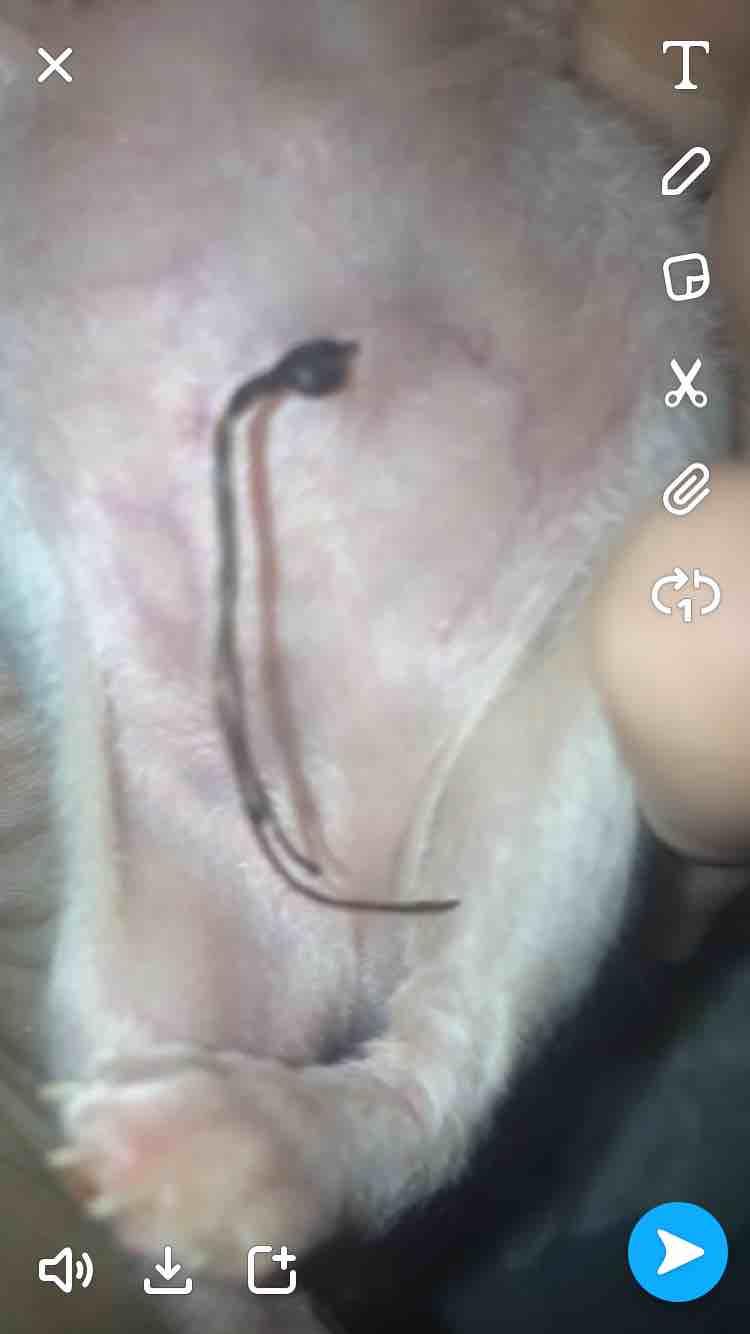 Question details sensitive content