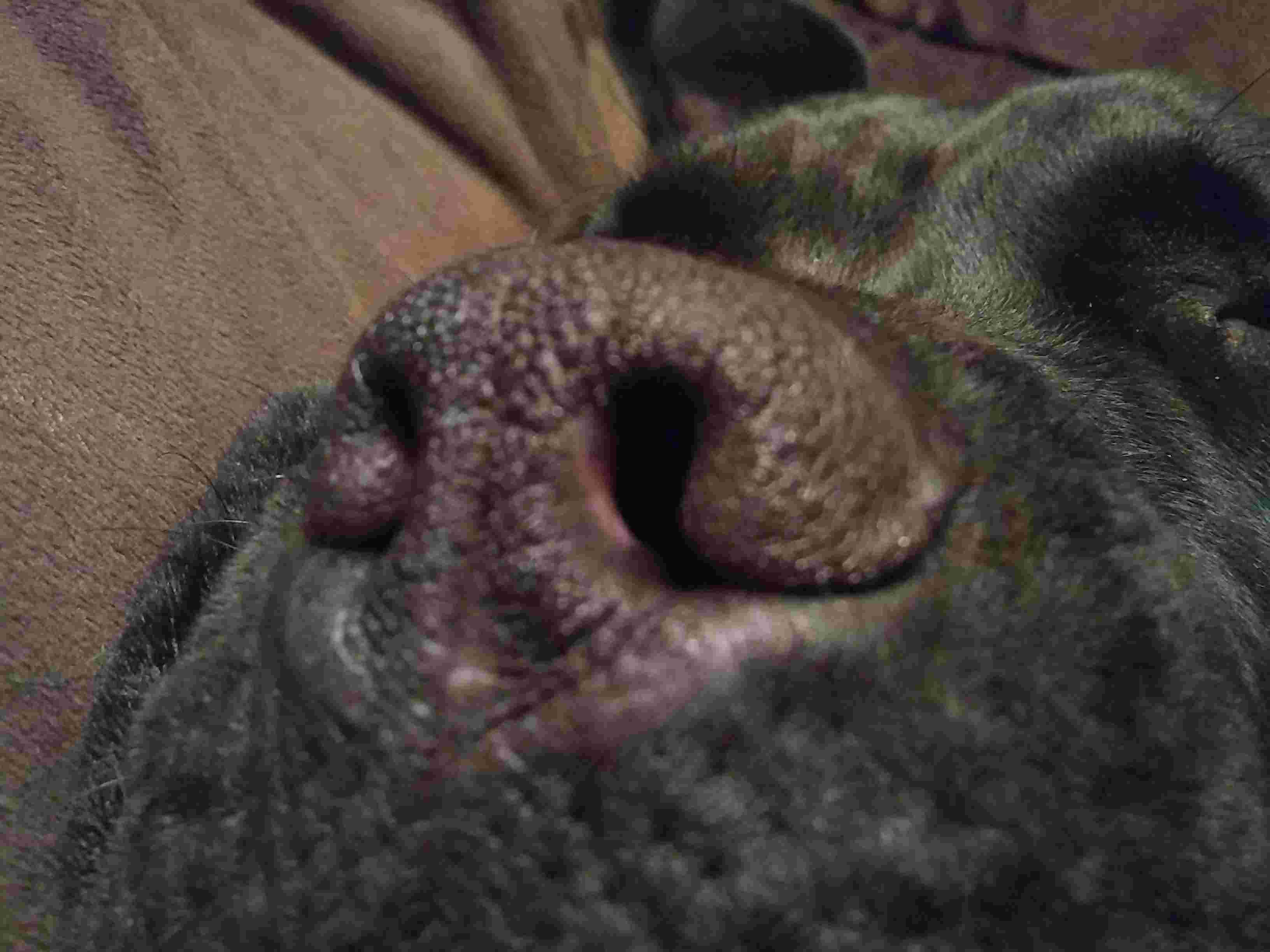 Question details sensitive content