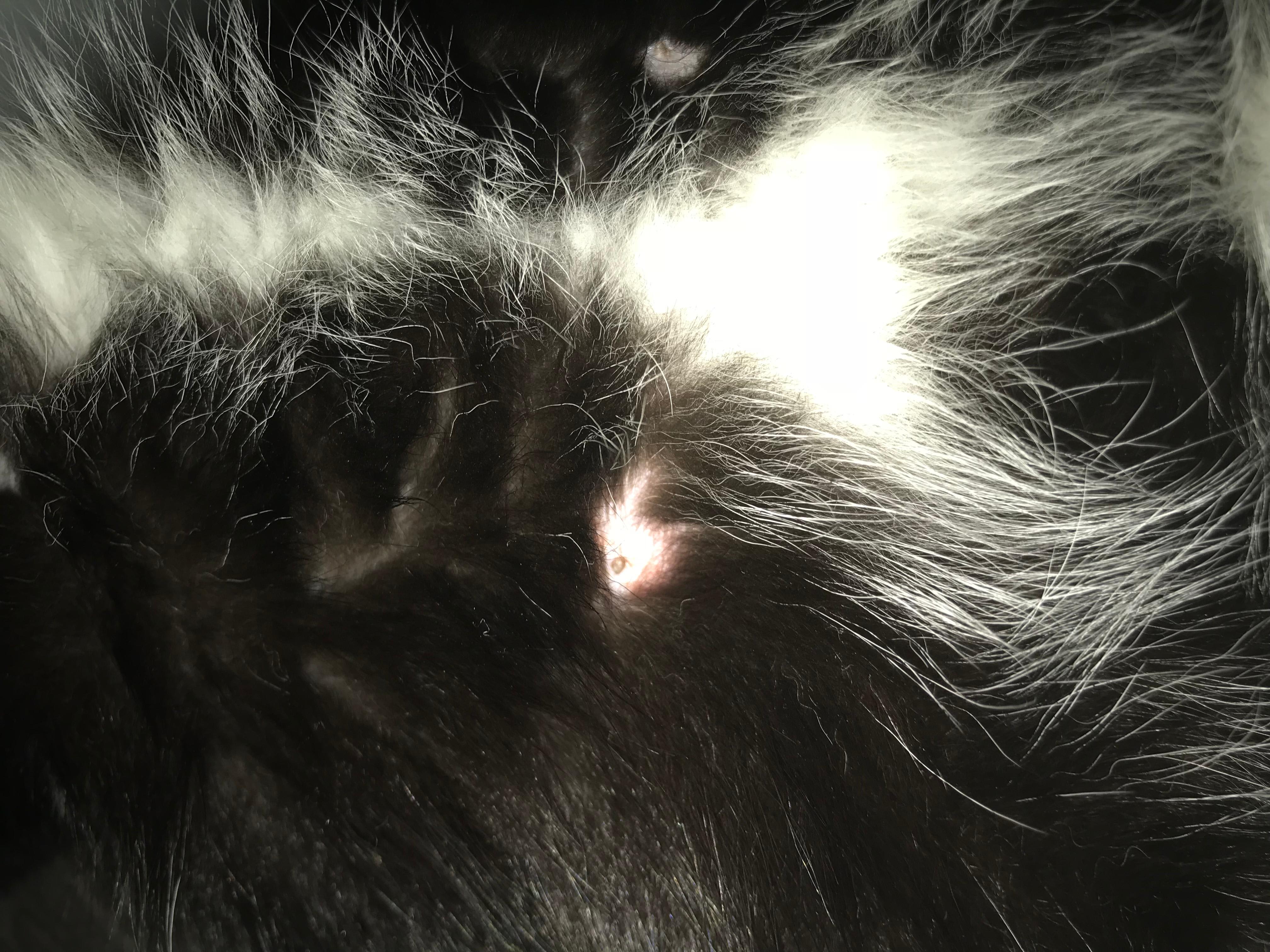 Question details sensitive content