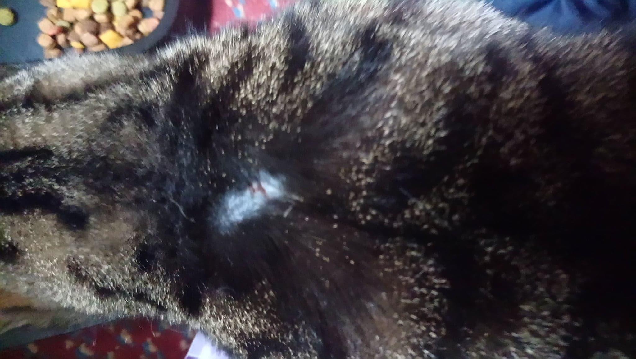 Question details sensitive content