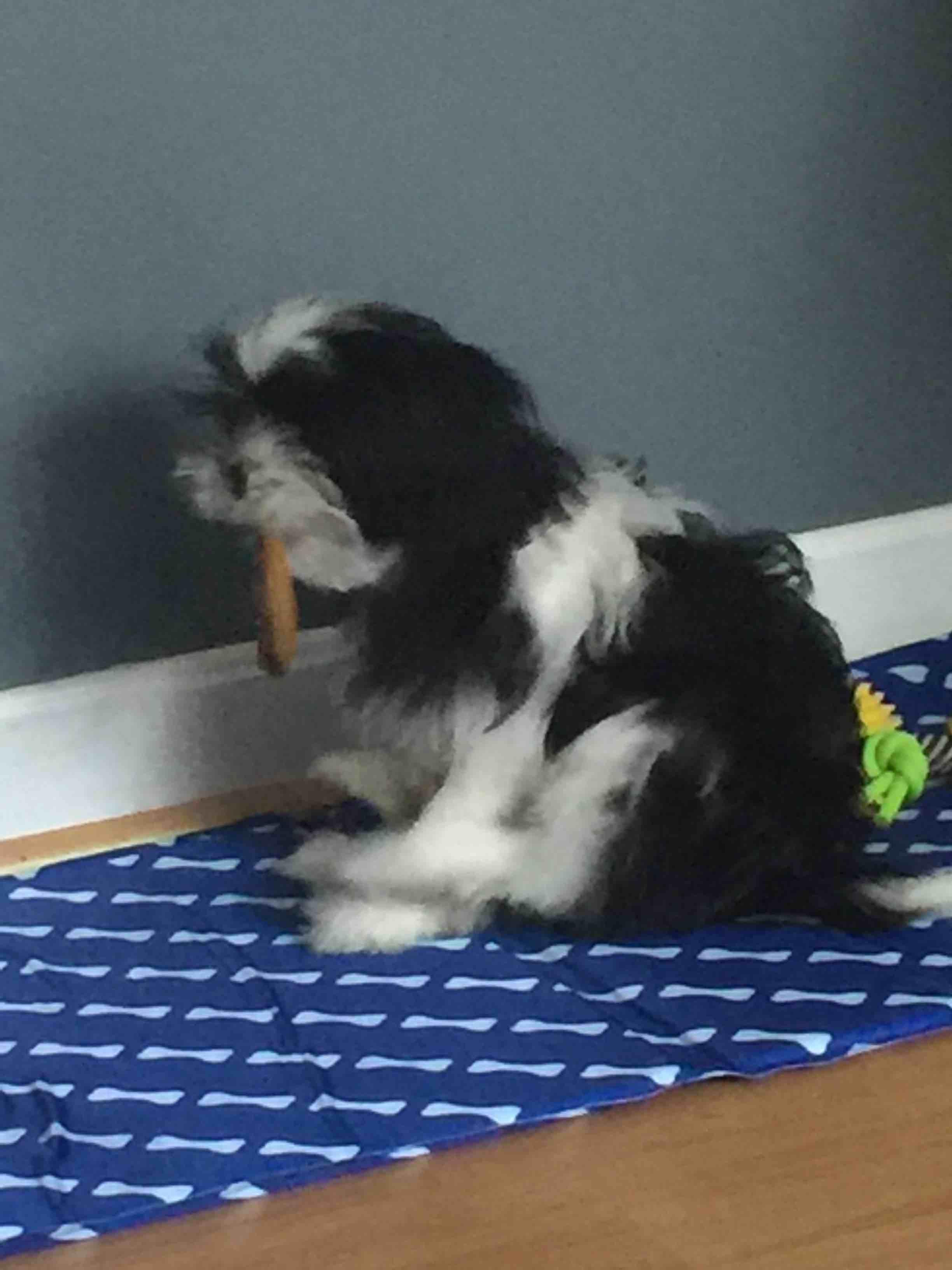 Question details sensitive content