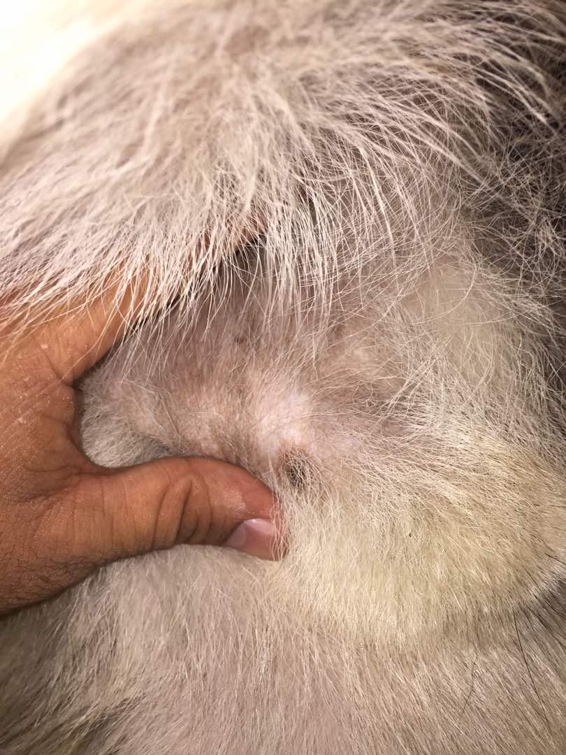 Question details sensitive content