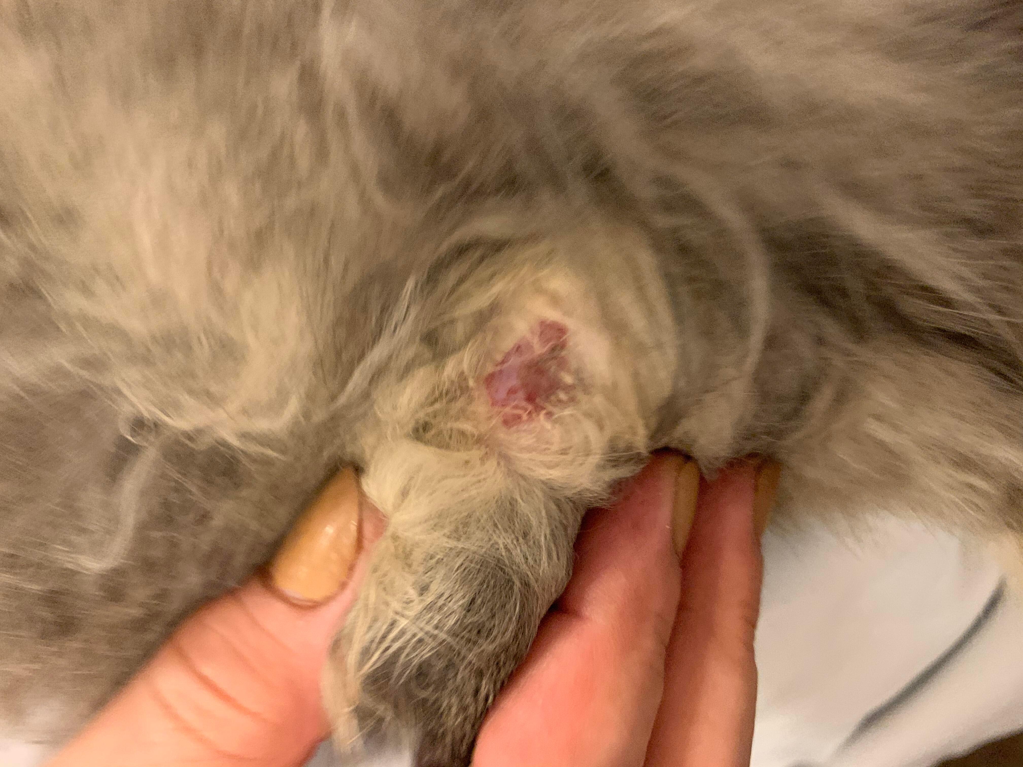 Question details sensitive content