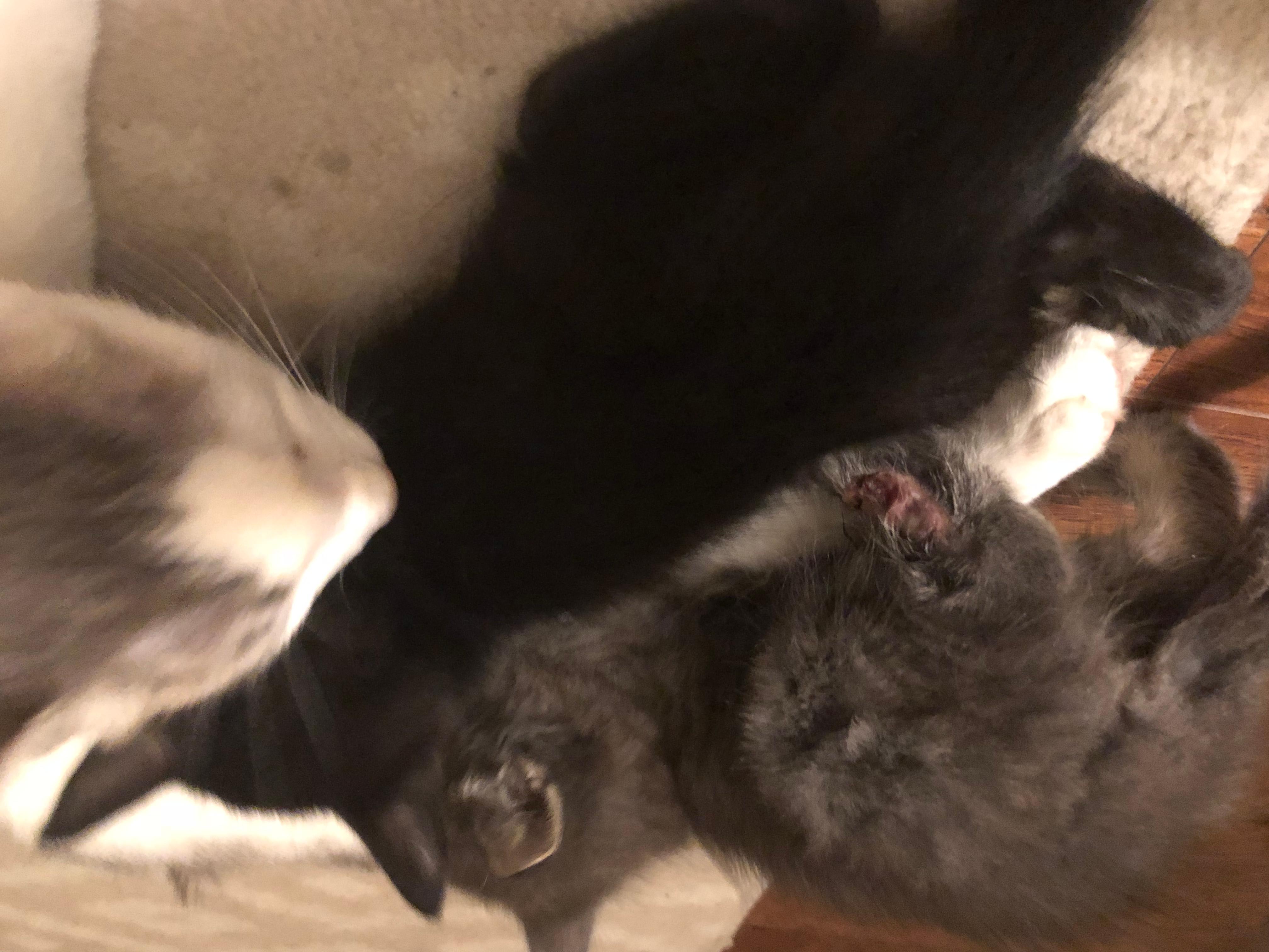 Question details sensitive content