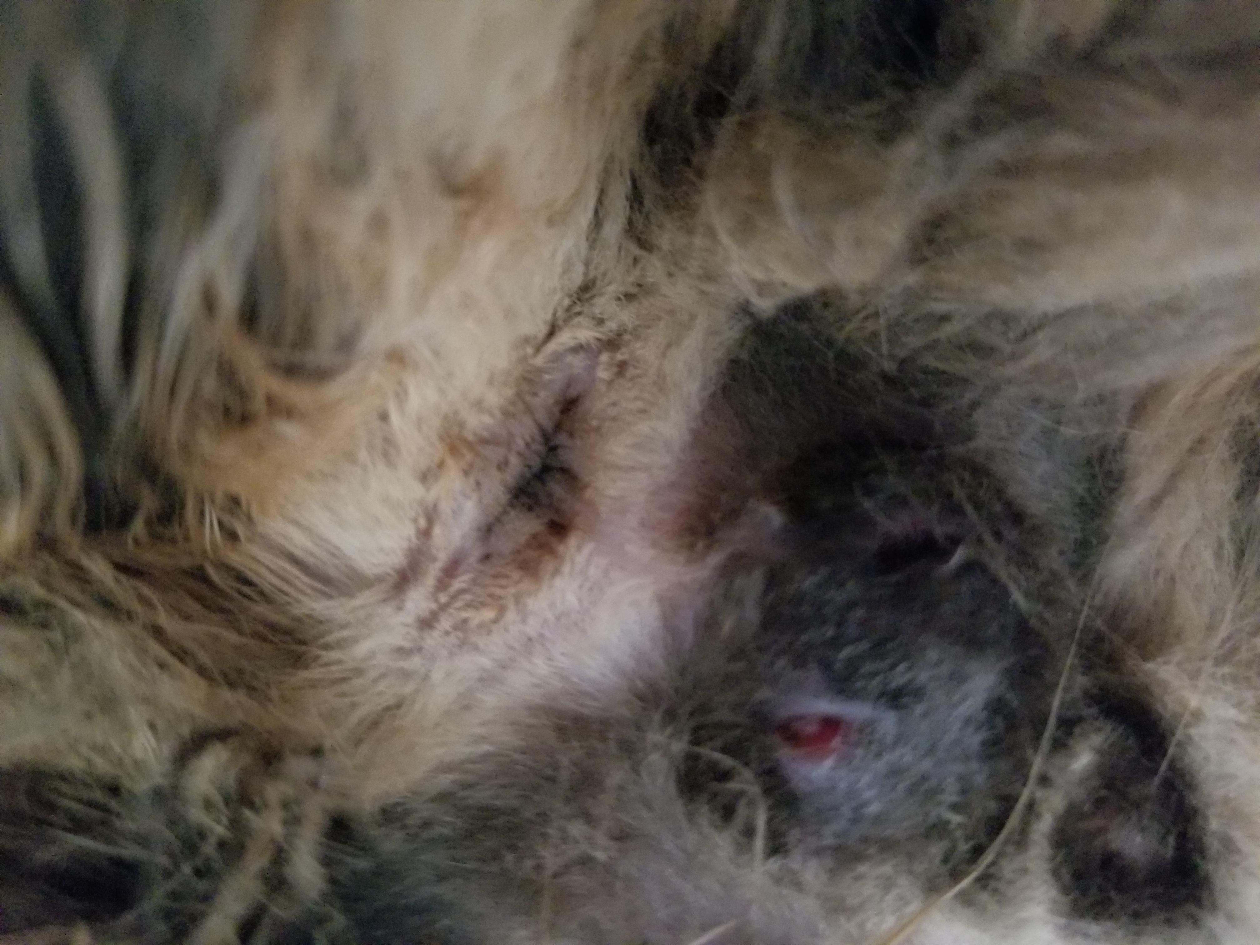 Question details sensitive content