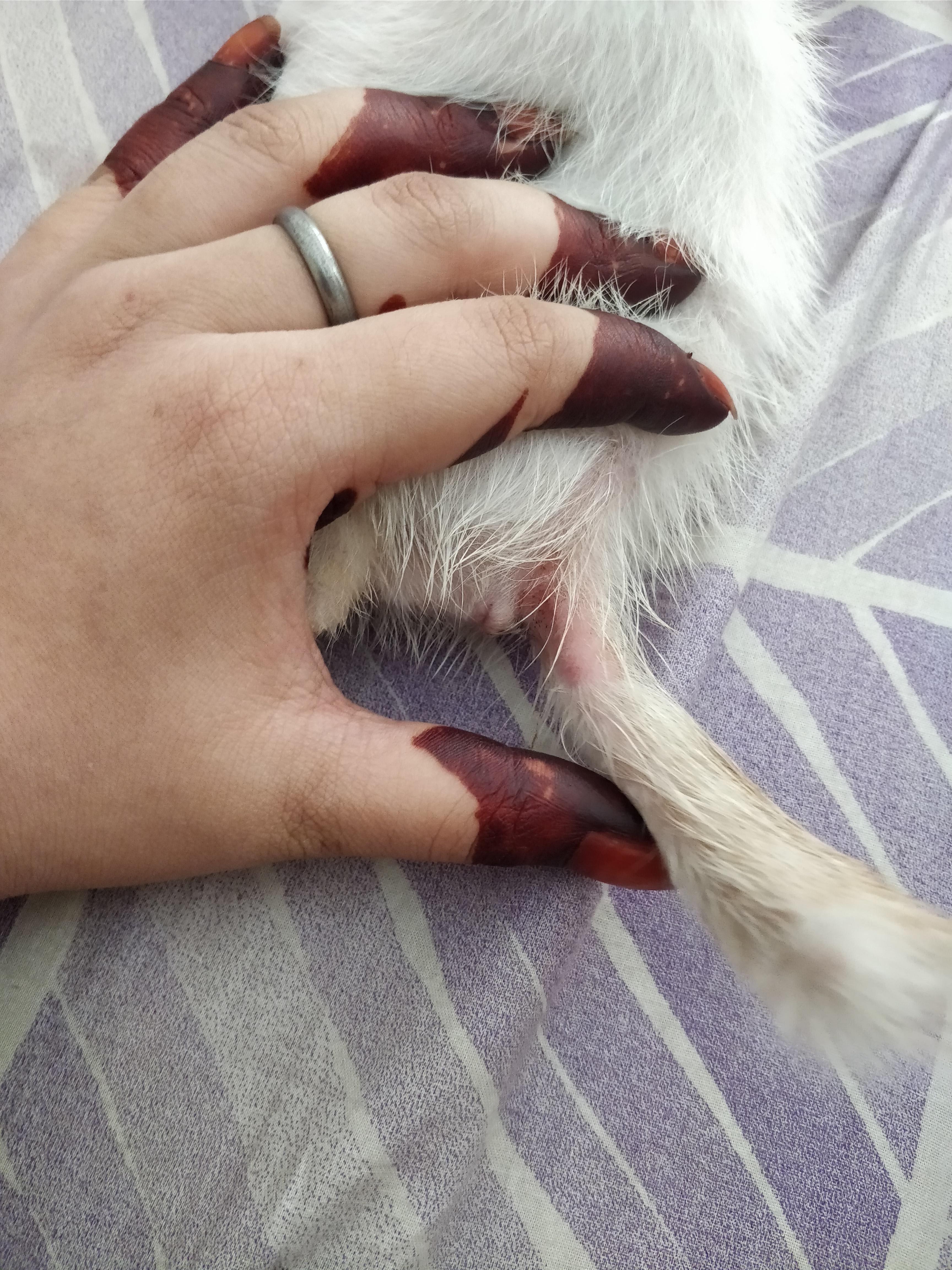 Question details sensitive content