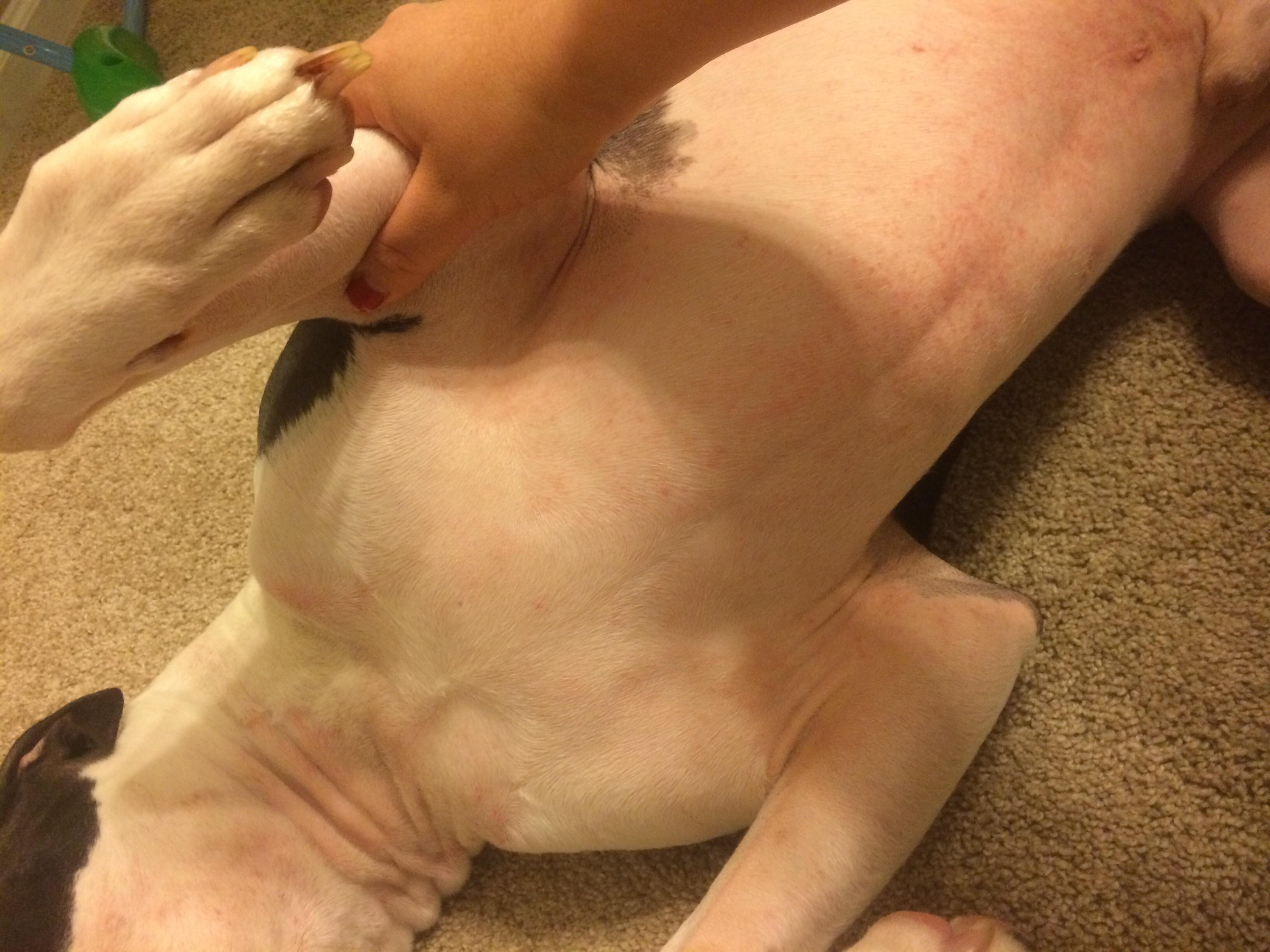 Question details sensitive content