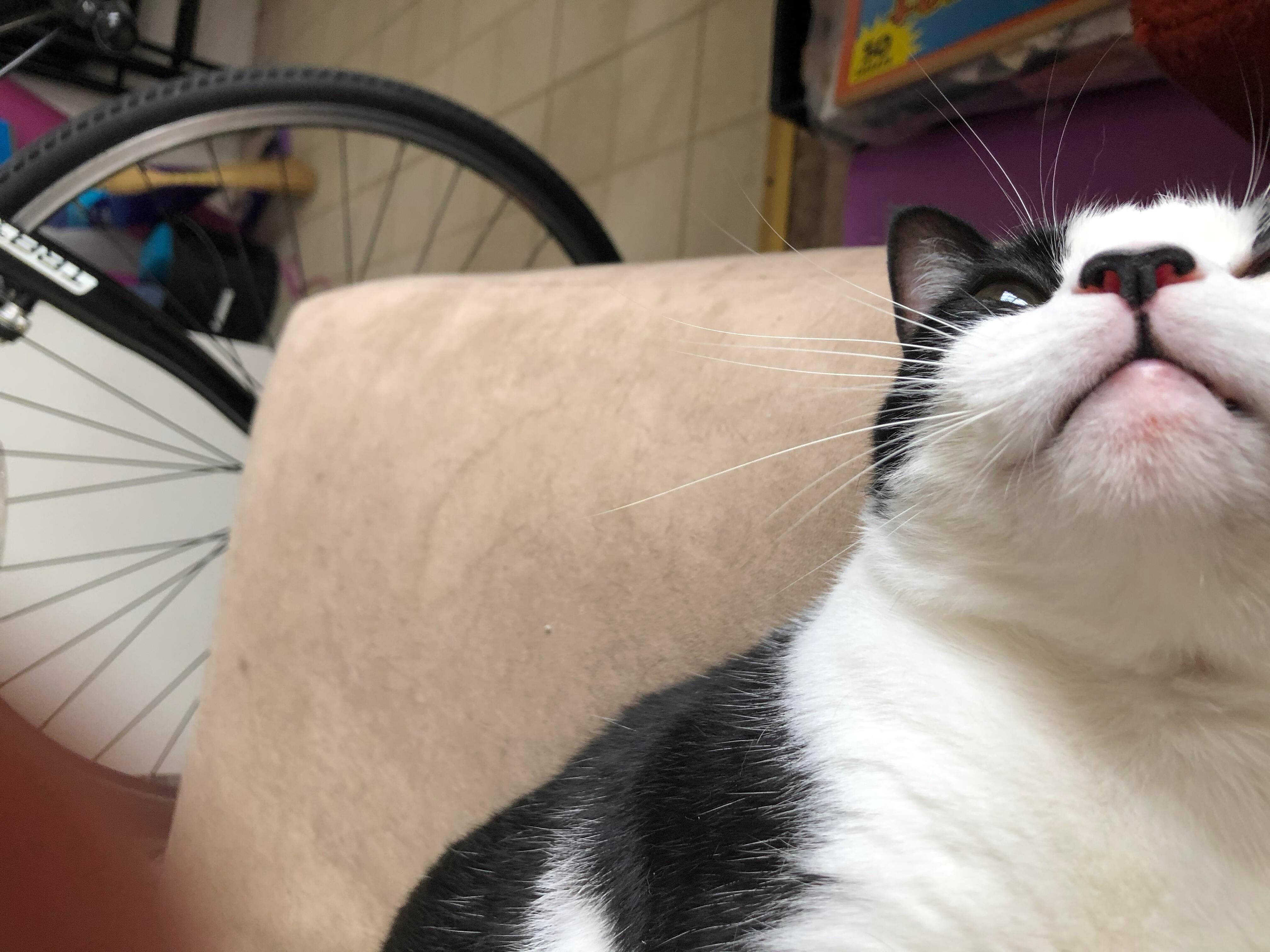 Question details sensitive content