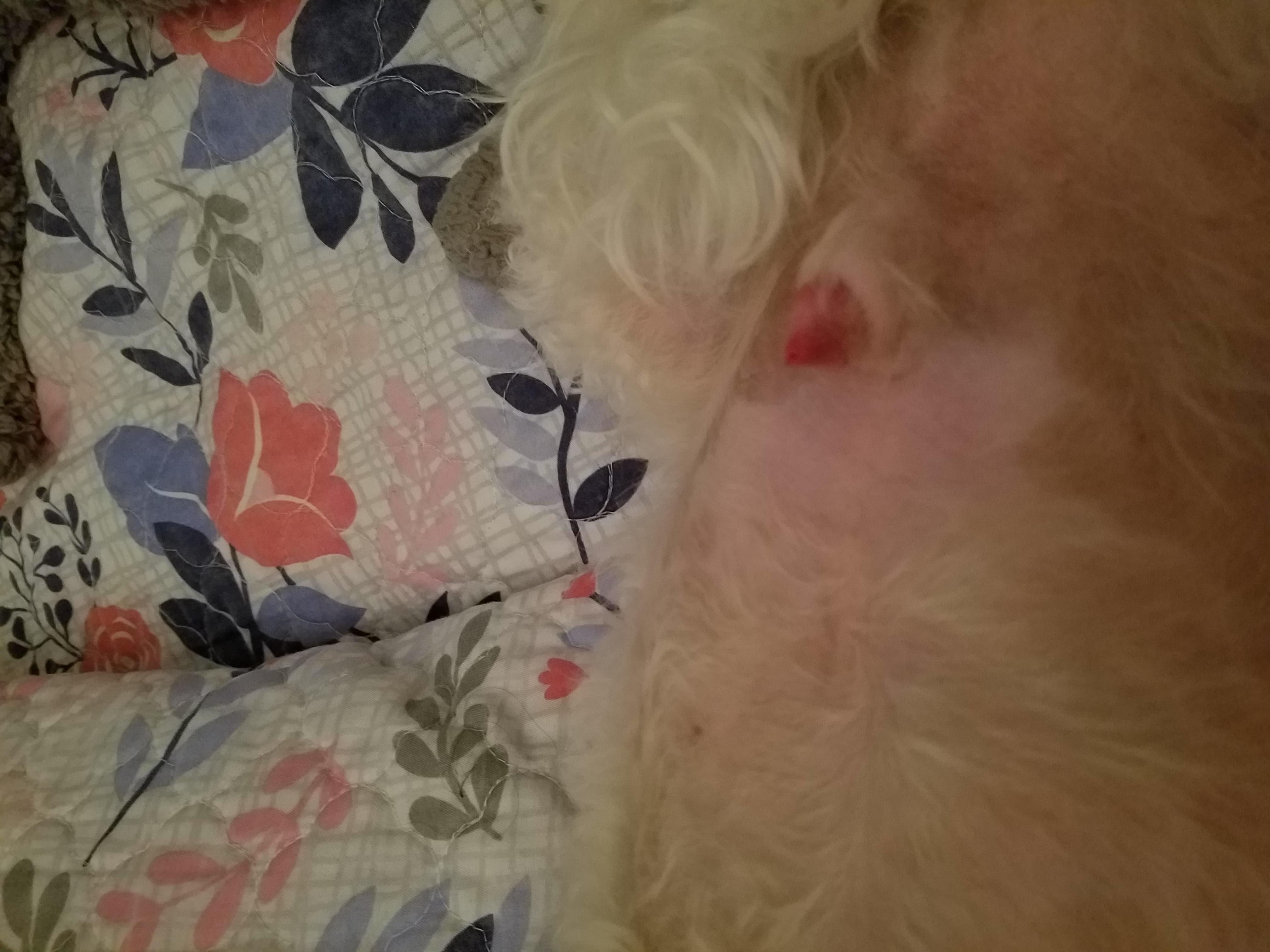 Question details sensitive content