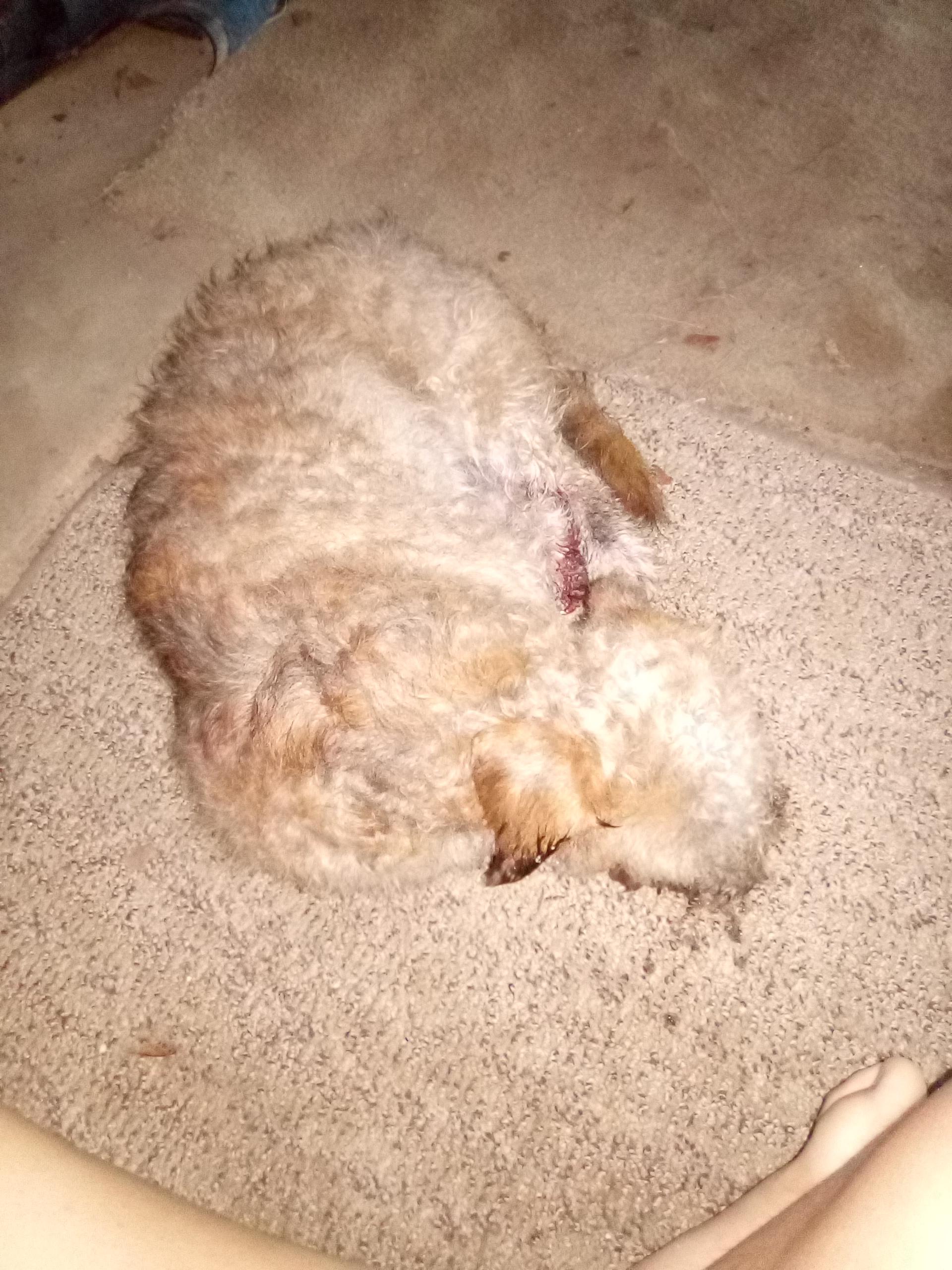 Question details sensitive content