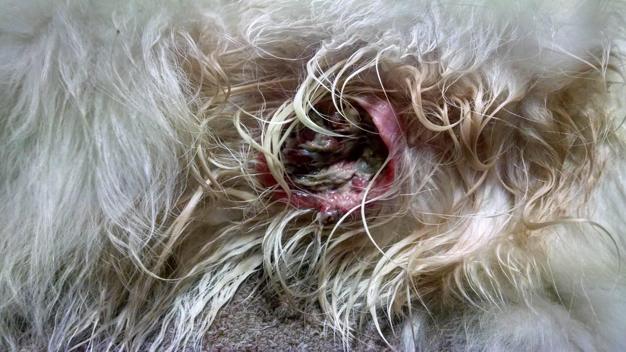 Question details sensitive content