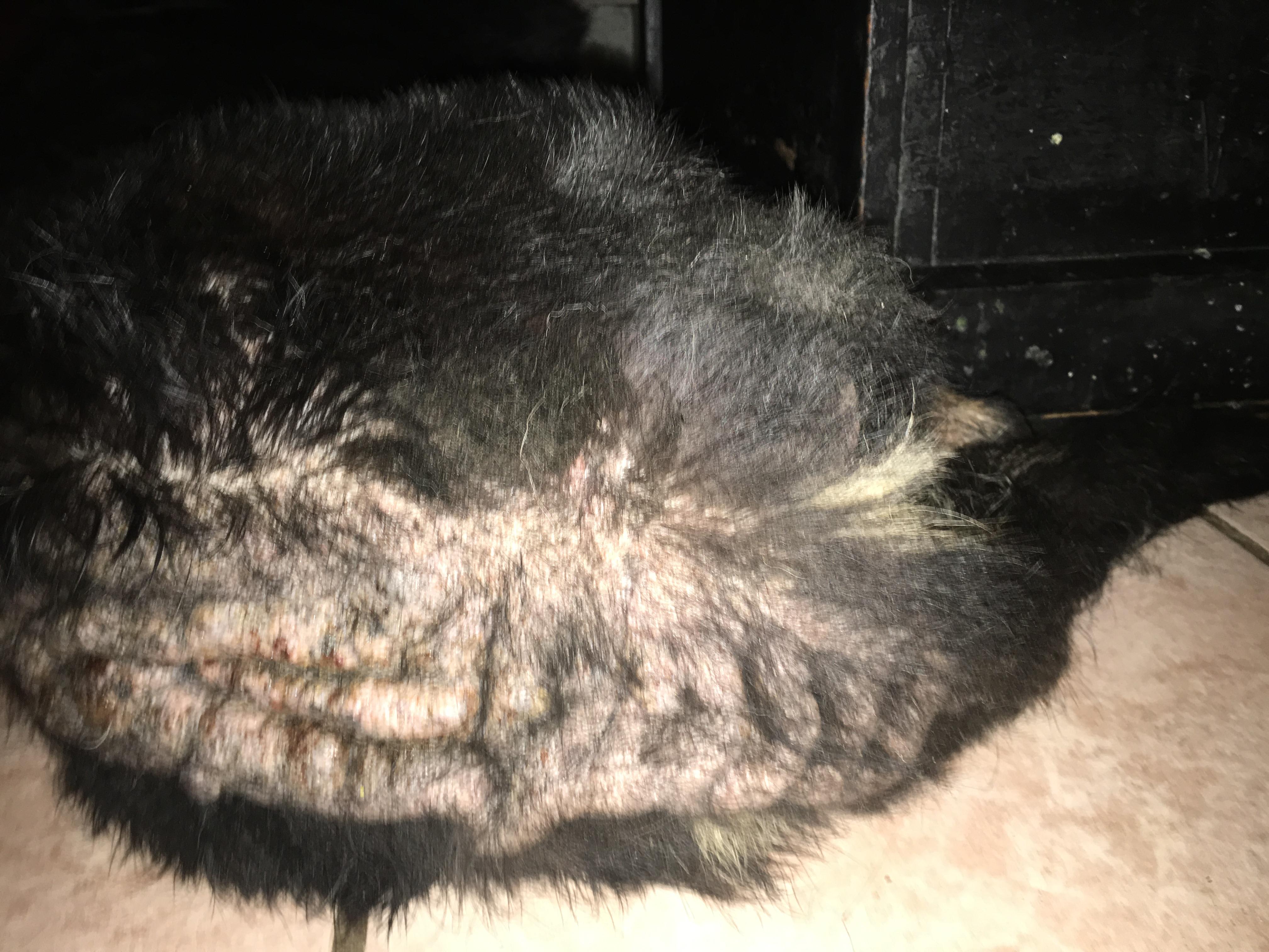 Question details sensitive content