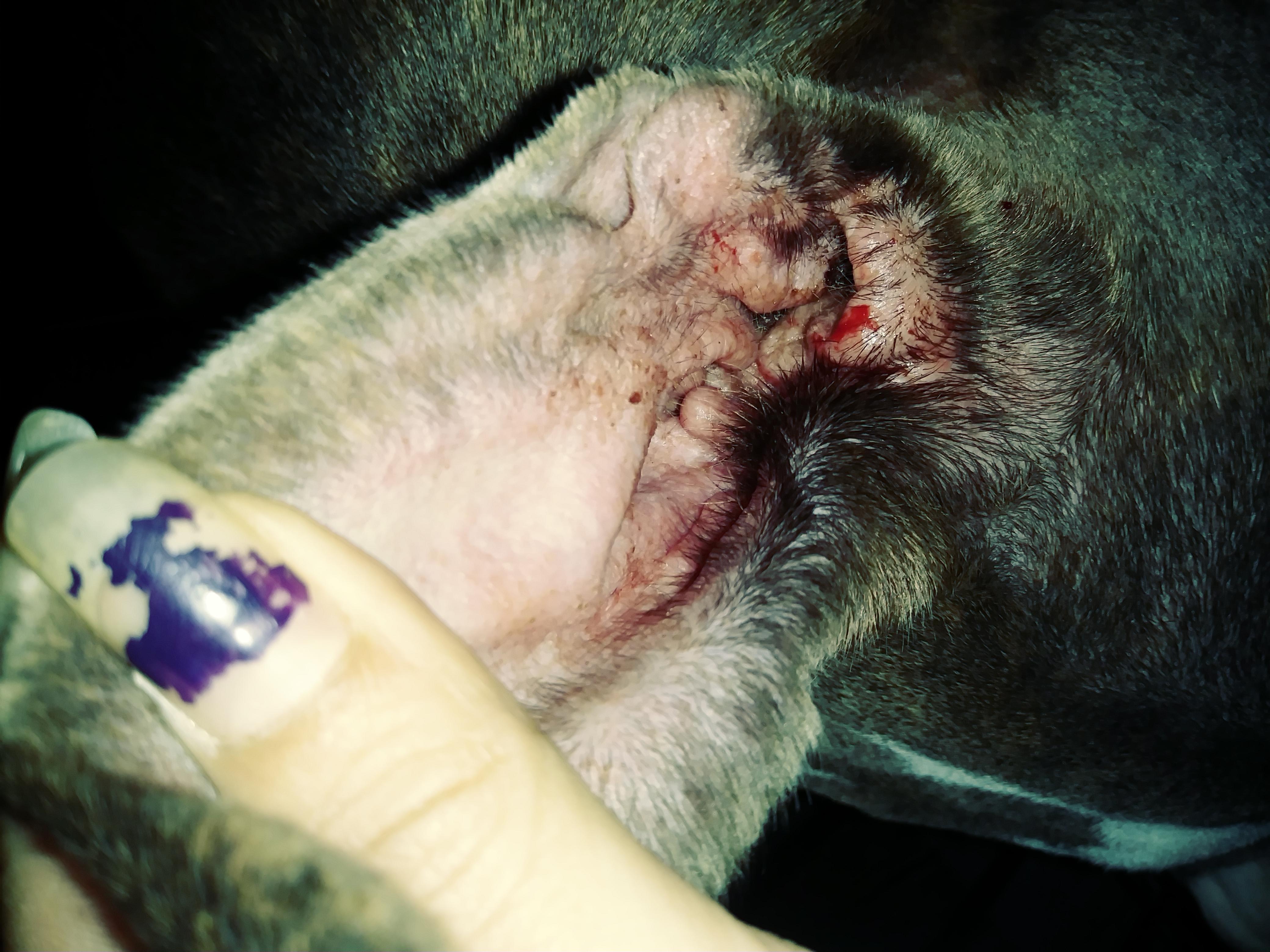 Question details sensitive content