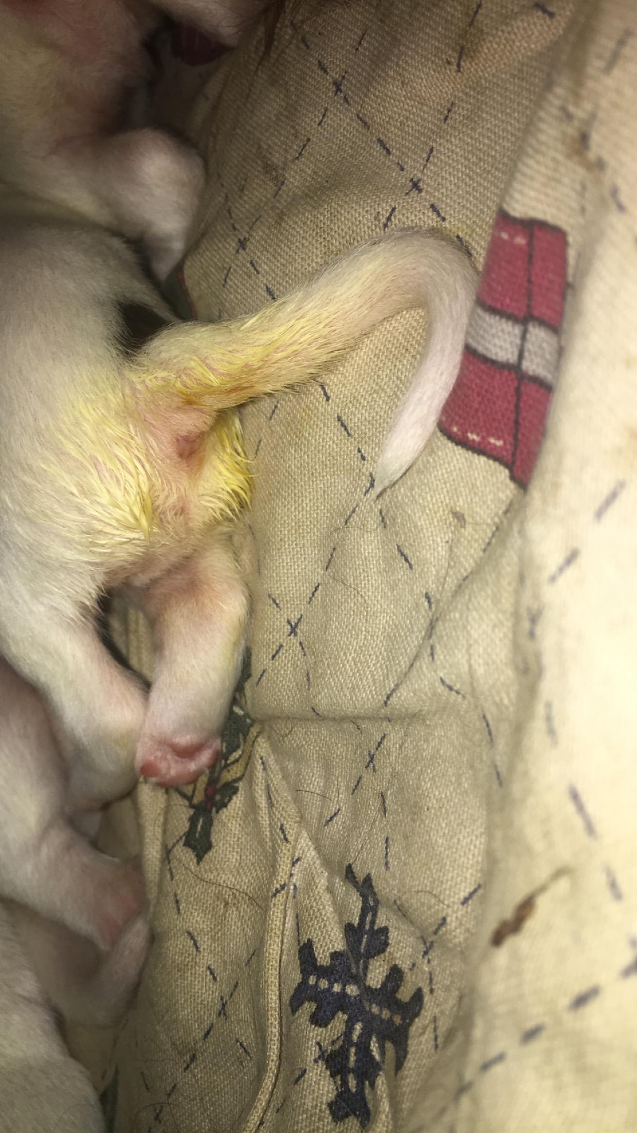 Question details sensitive content