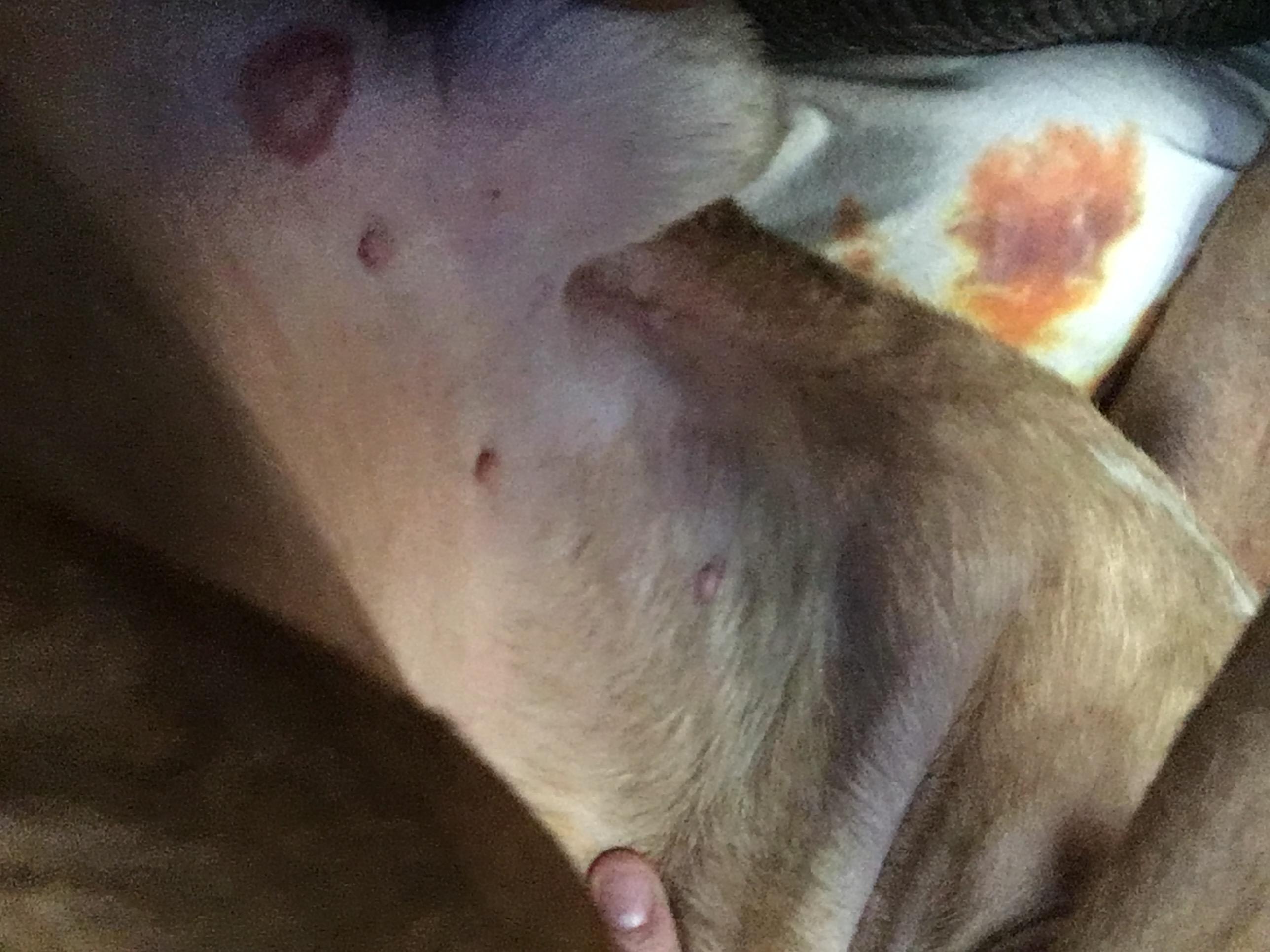 Question details sensitive content