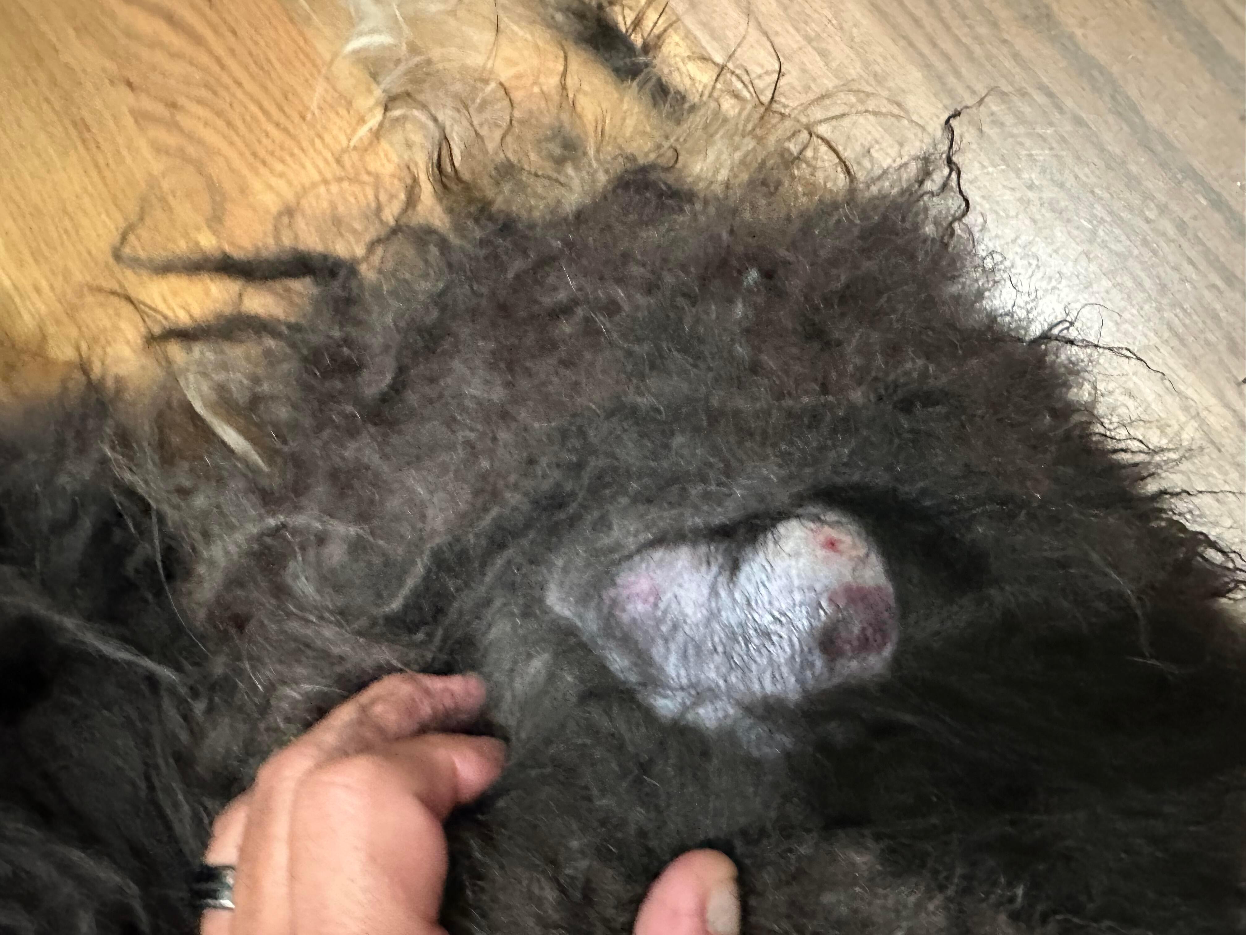 Question details sensitive content