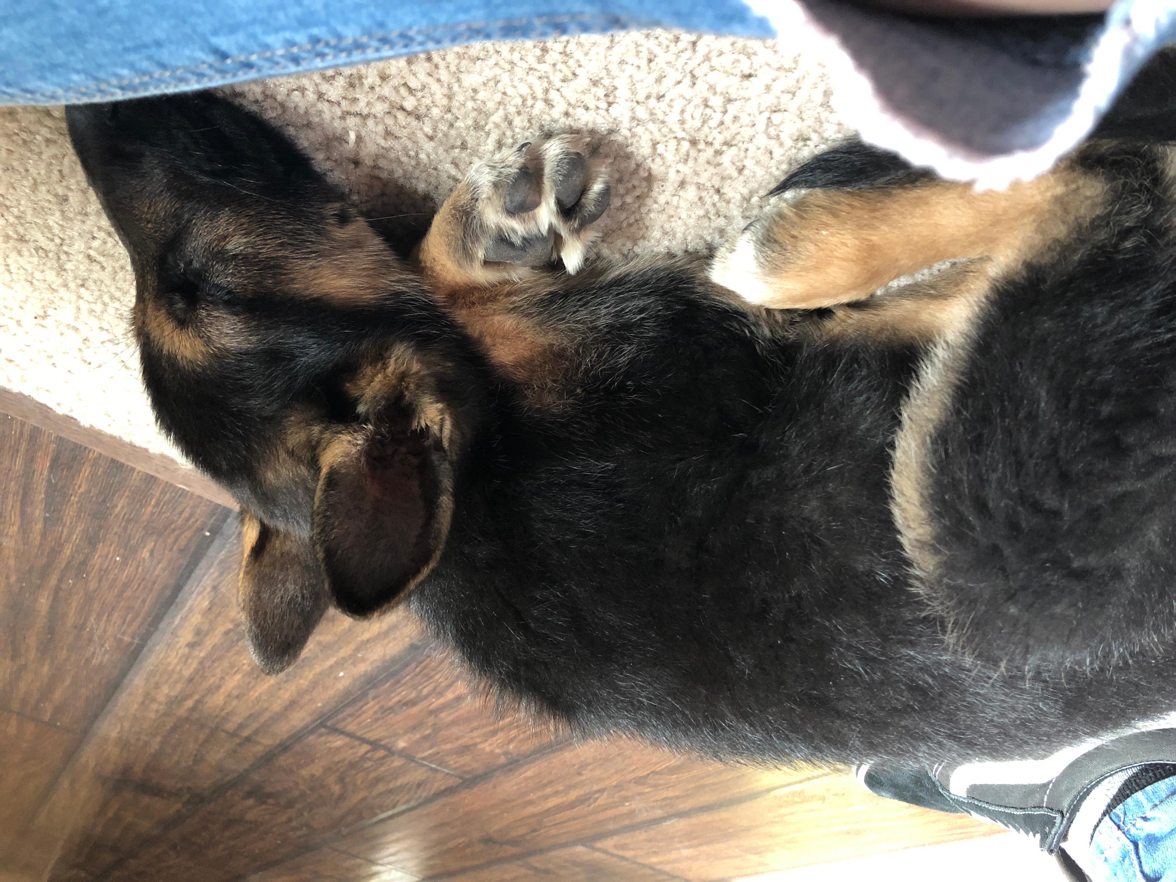 Question details sensitive content