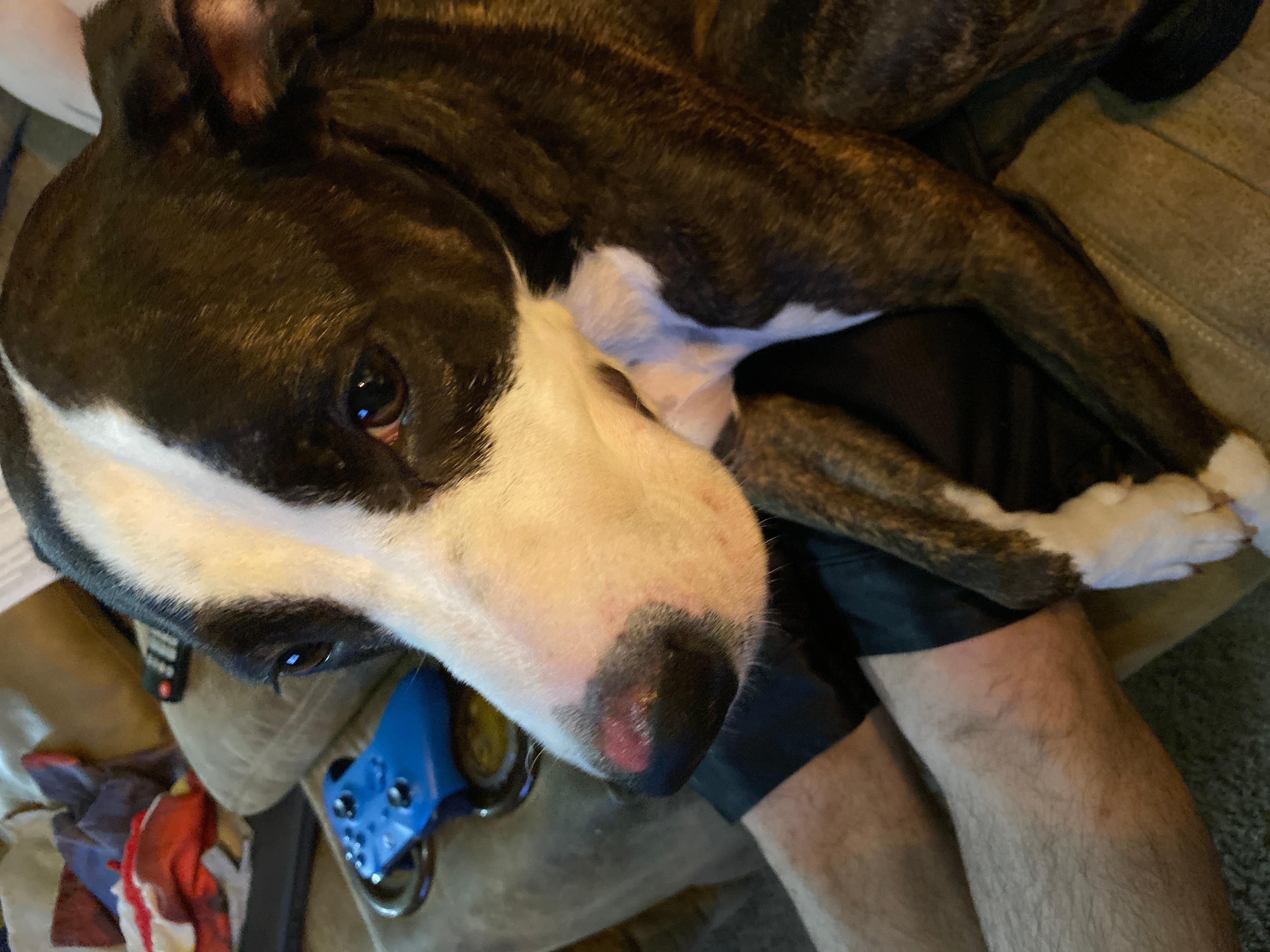 Question details sensitive content