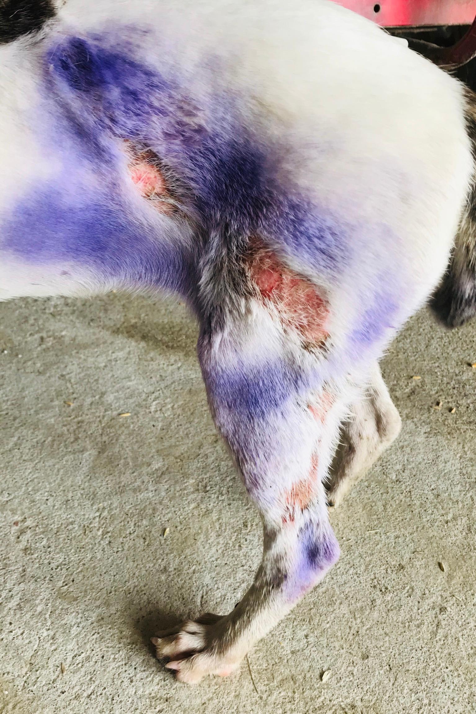 Question details sensitive content