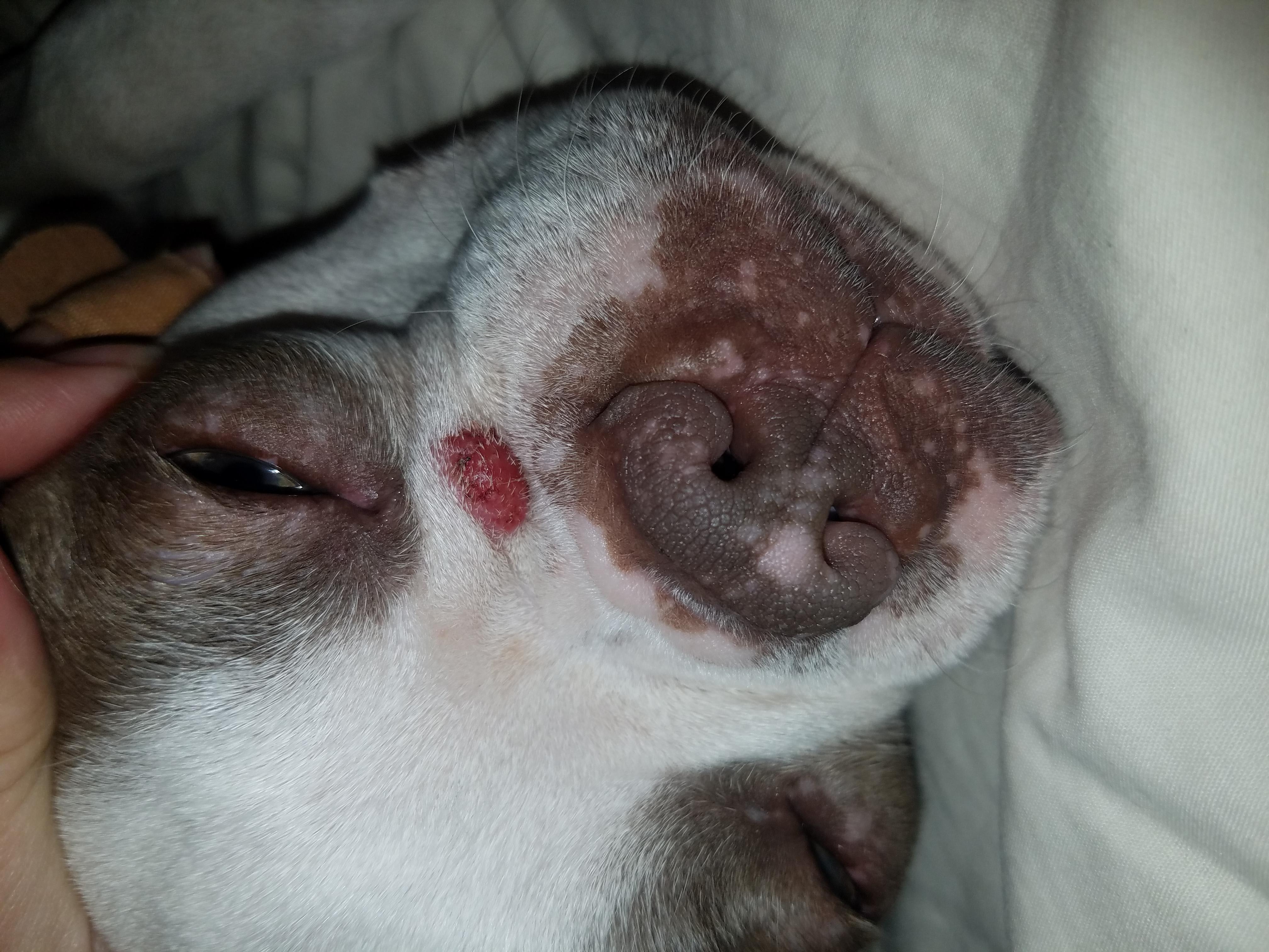 Question details sensitive content