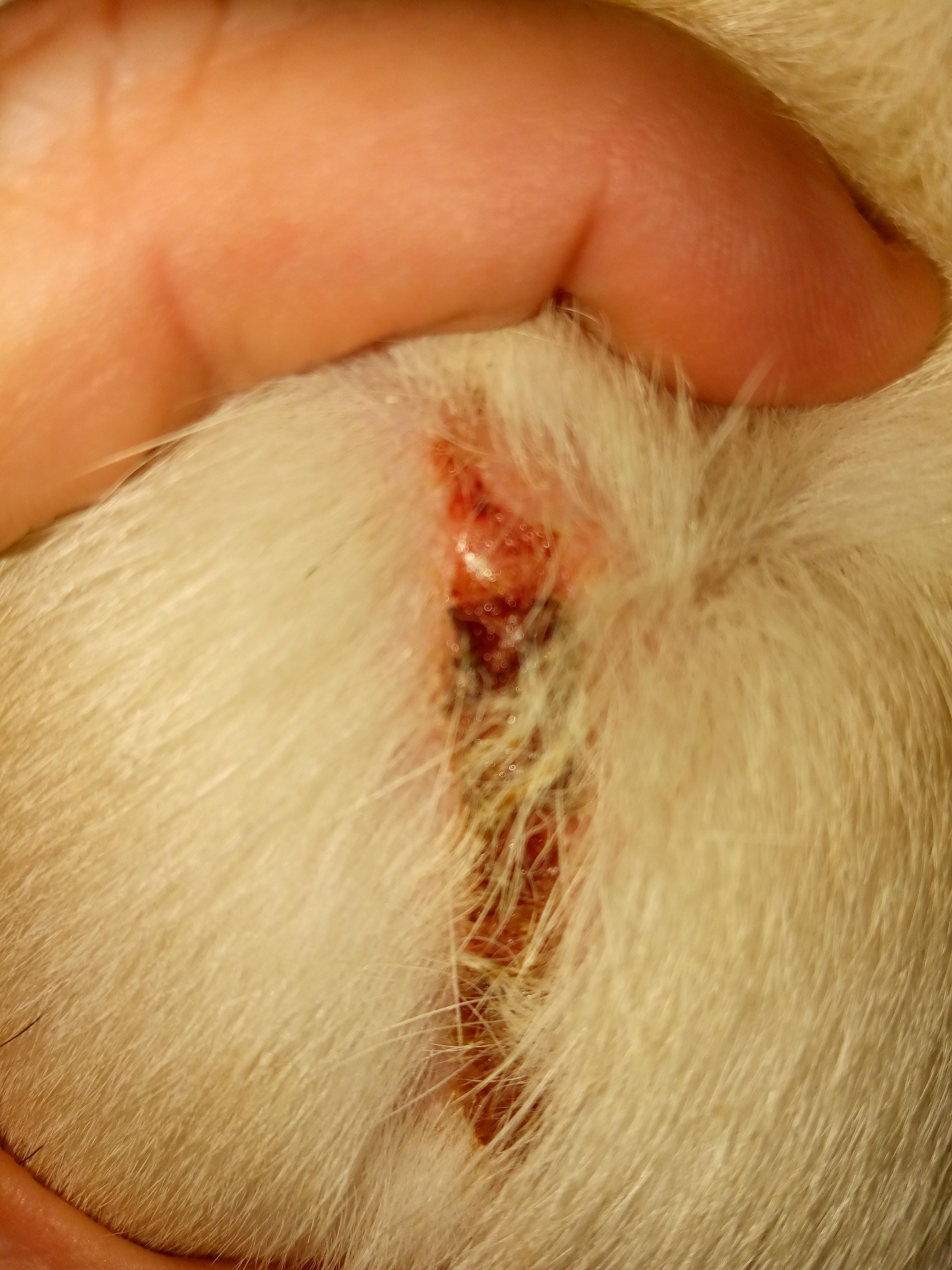 Question details sensitive content