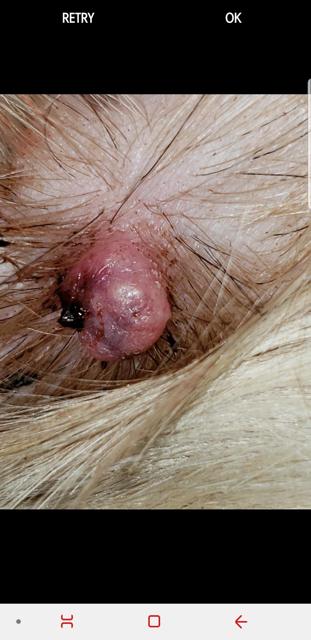 Question details sensitive content