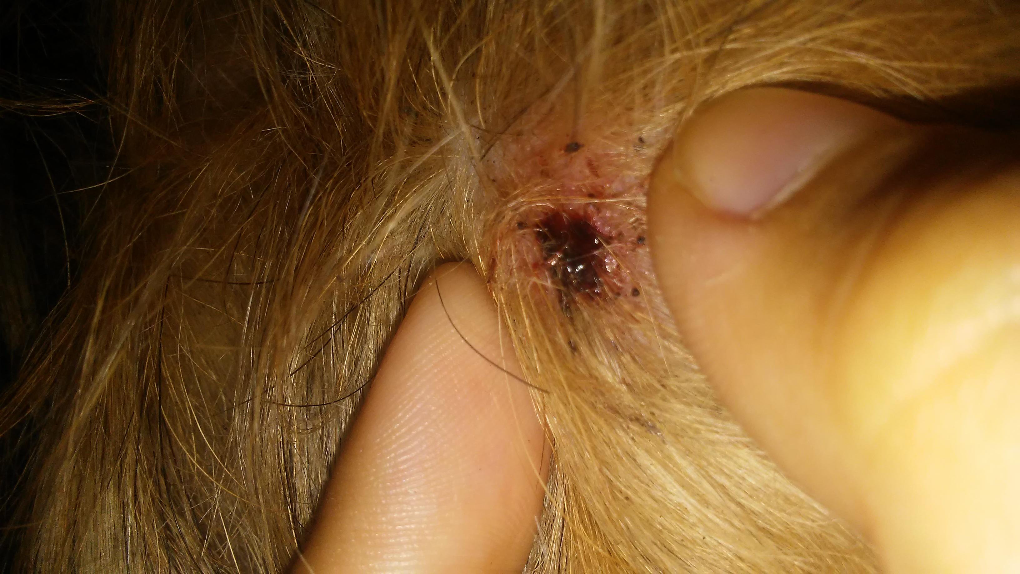 Question details sensitive content