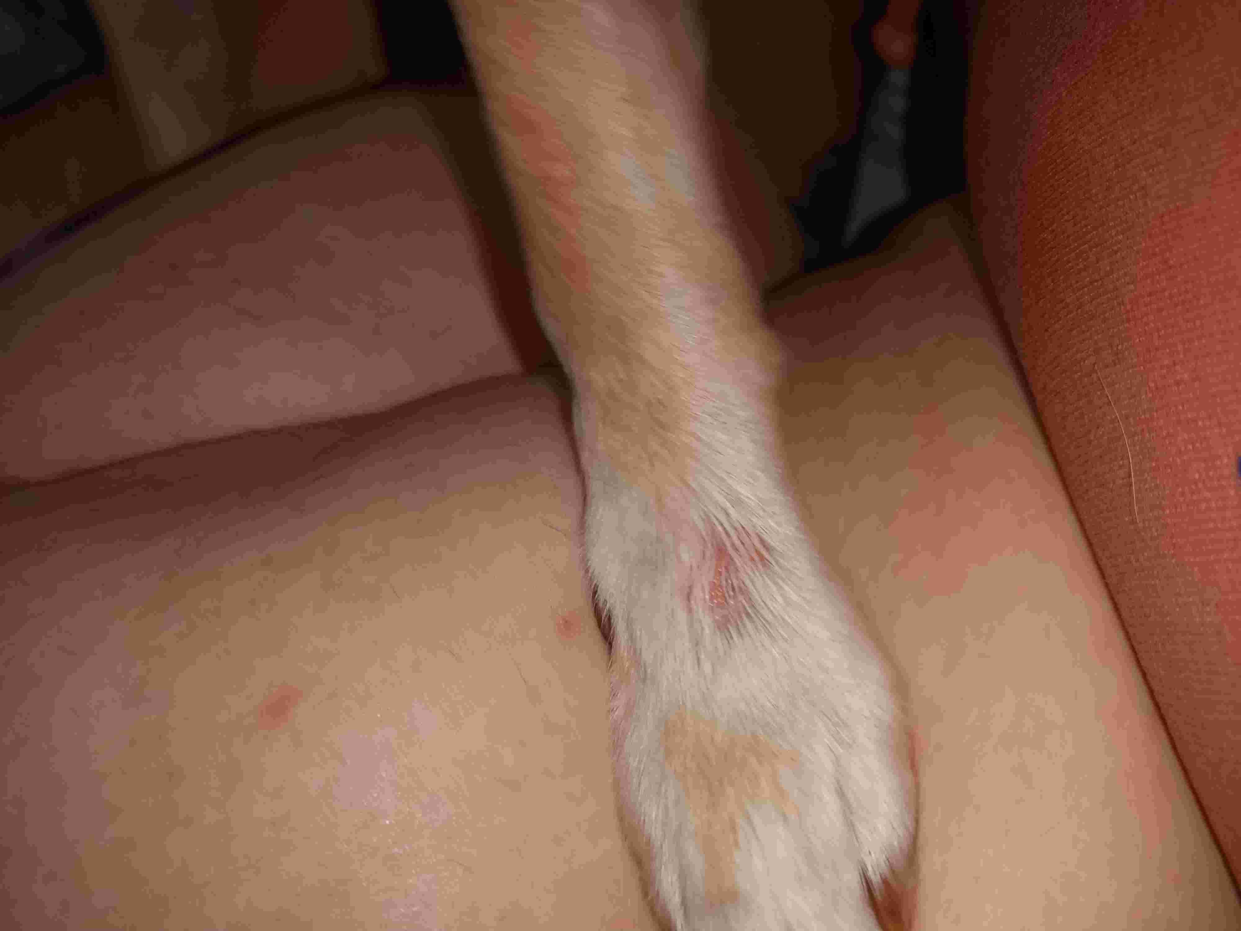 Question details sensitive content