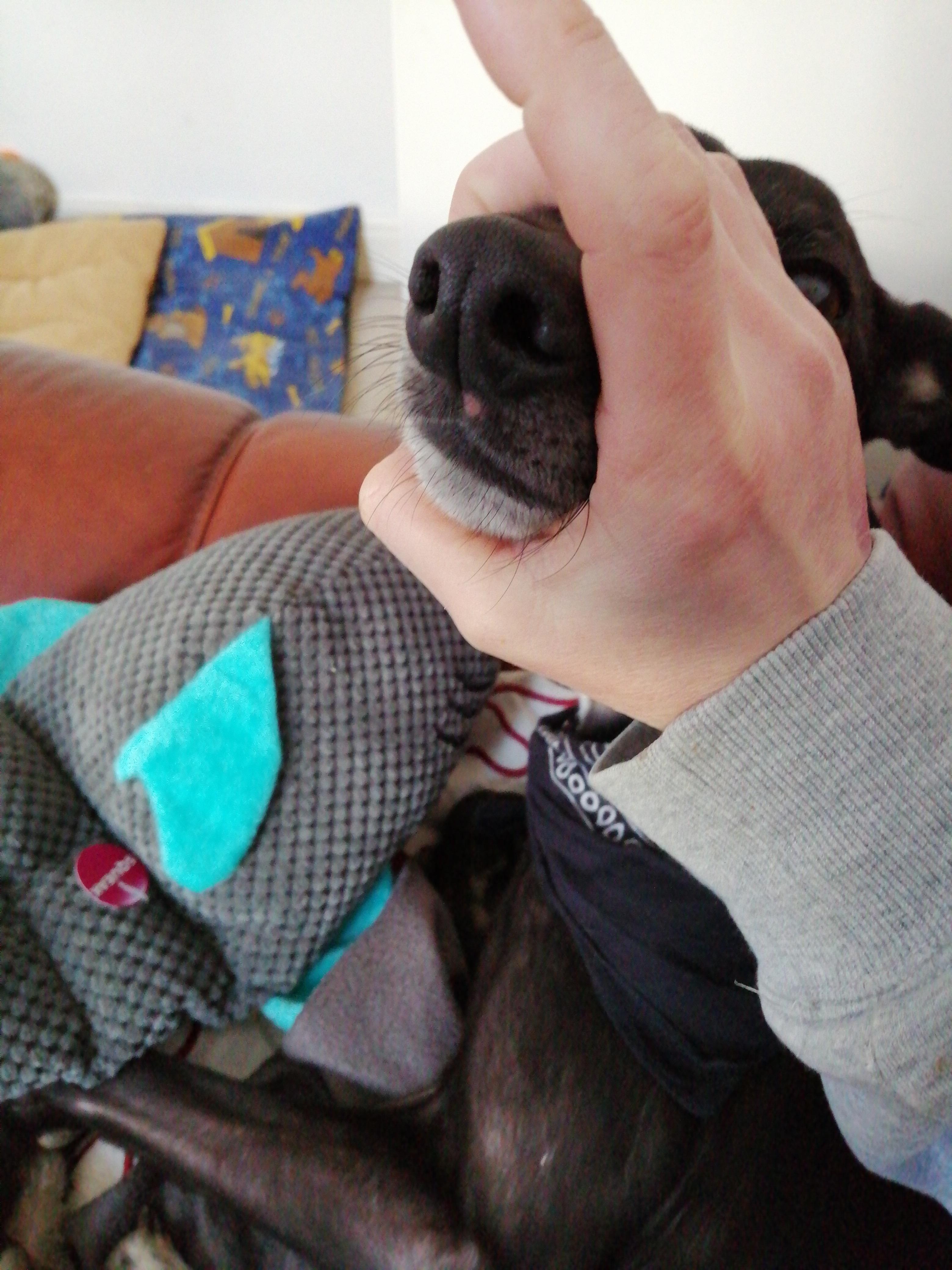 Question details sensitive content