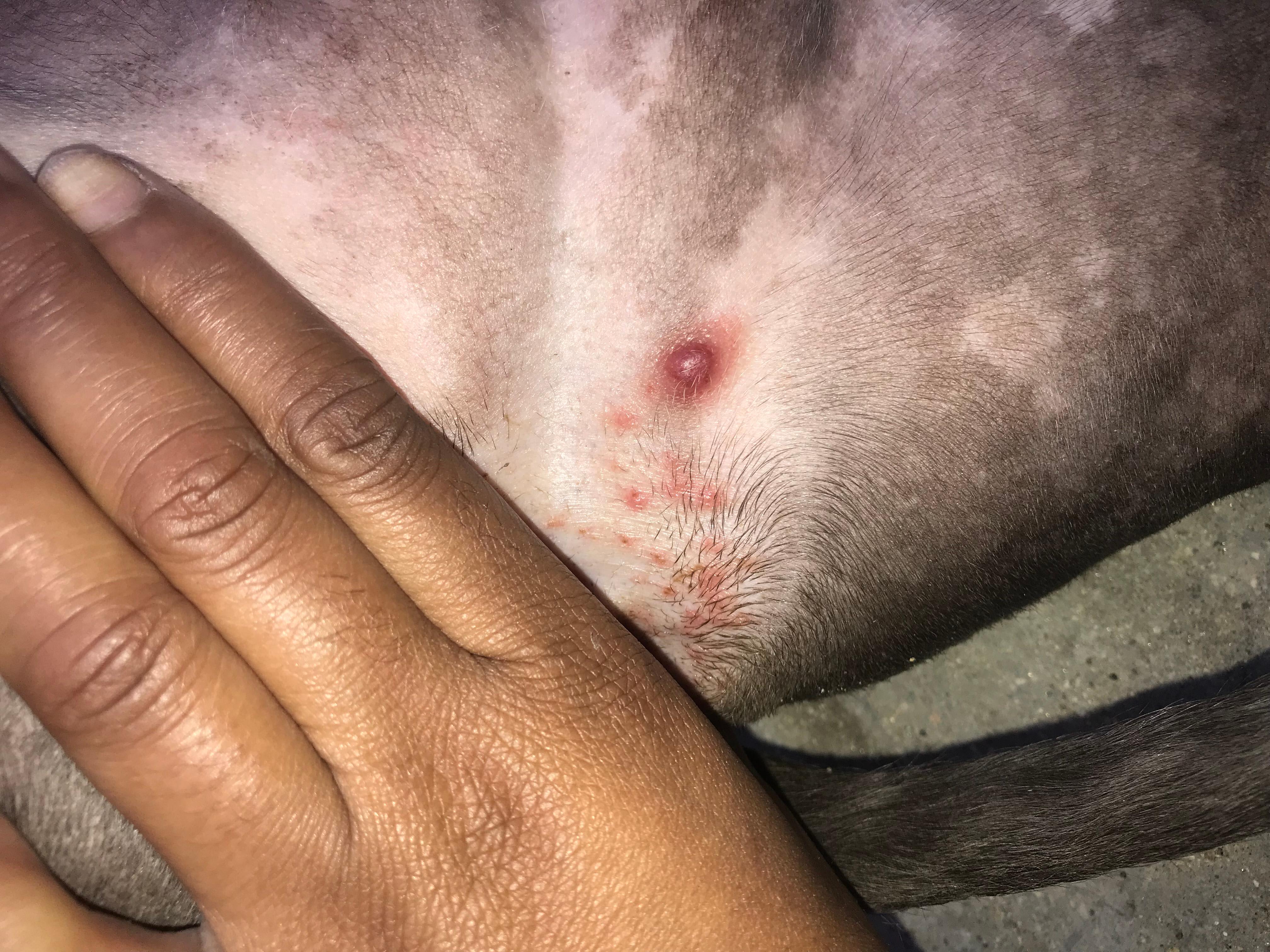 Question details sensitive content