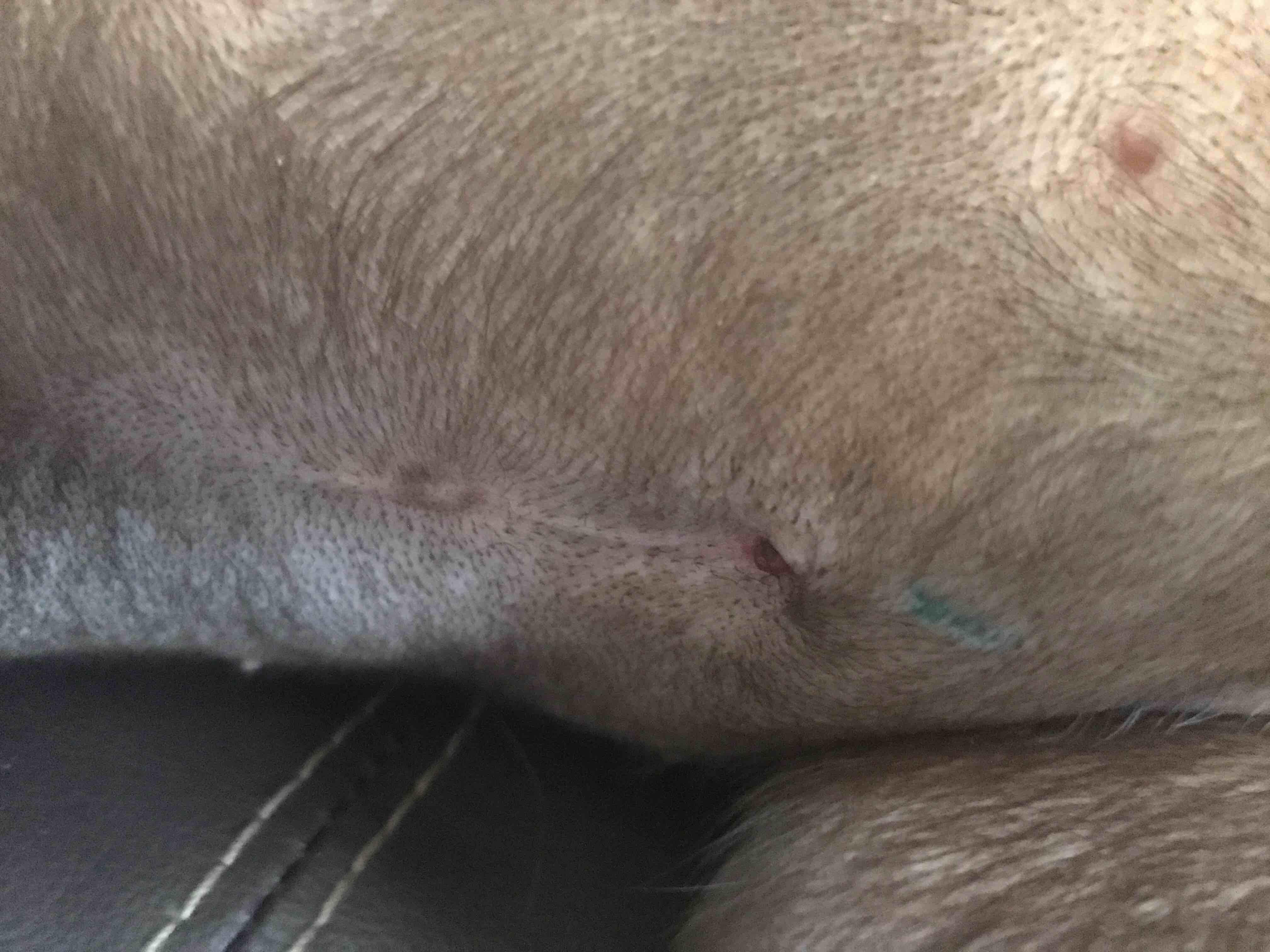 Question details sensitive content