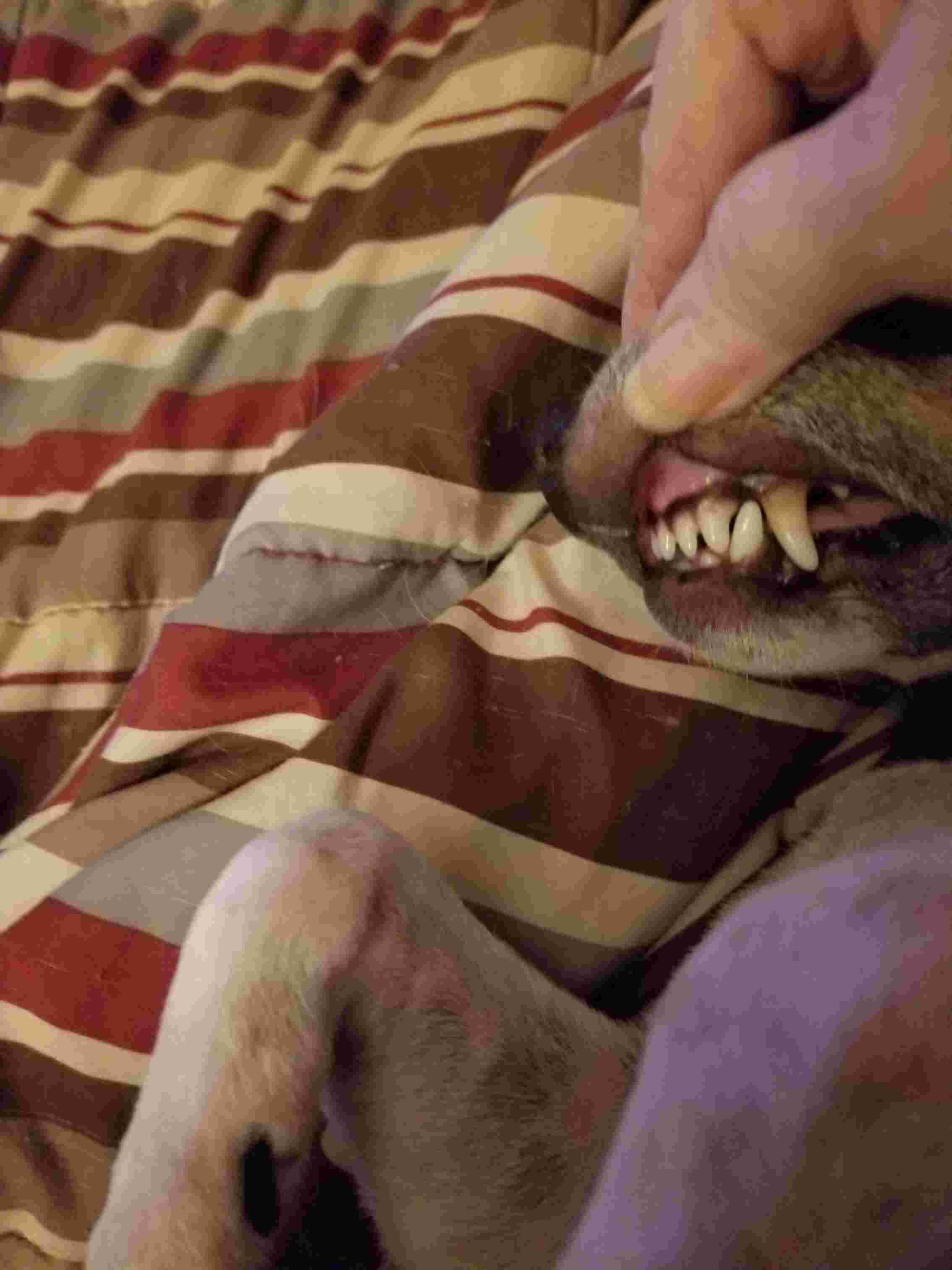 Question details sensitive content