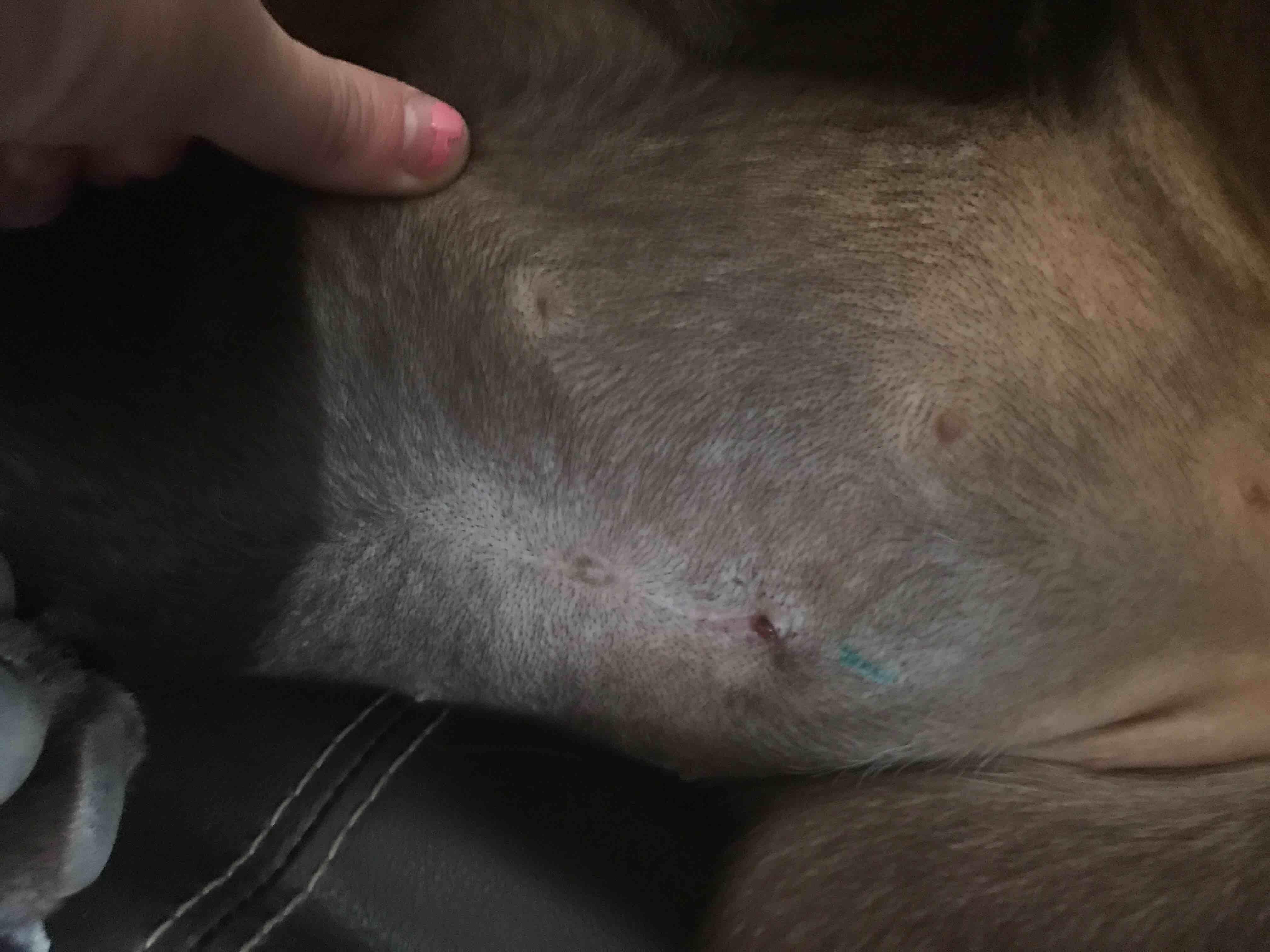 Question details sensitive content