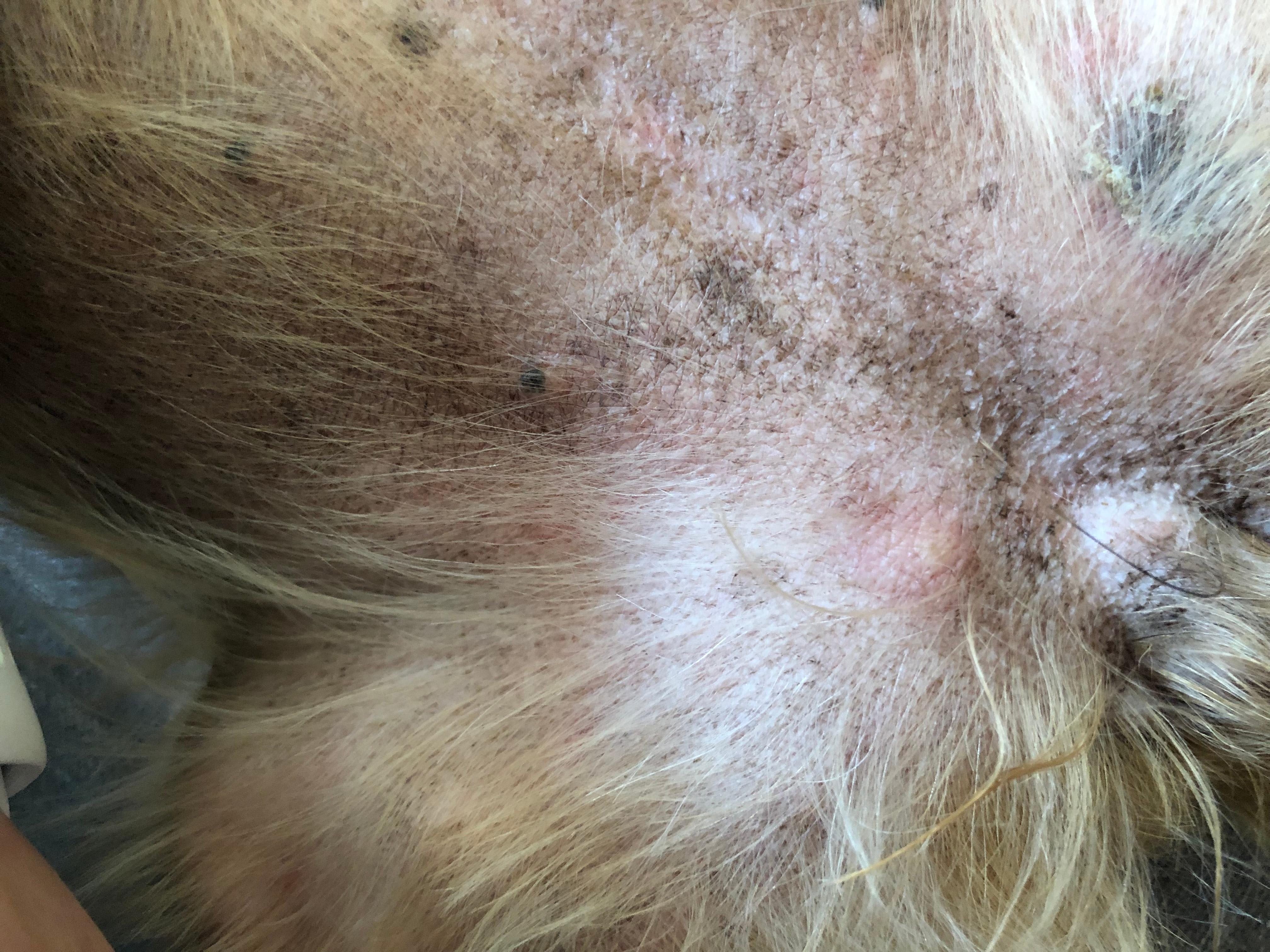 Question details sensitive content