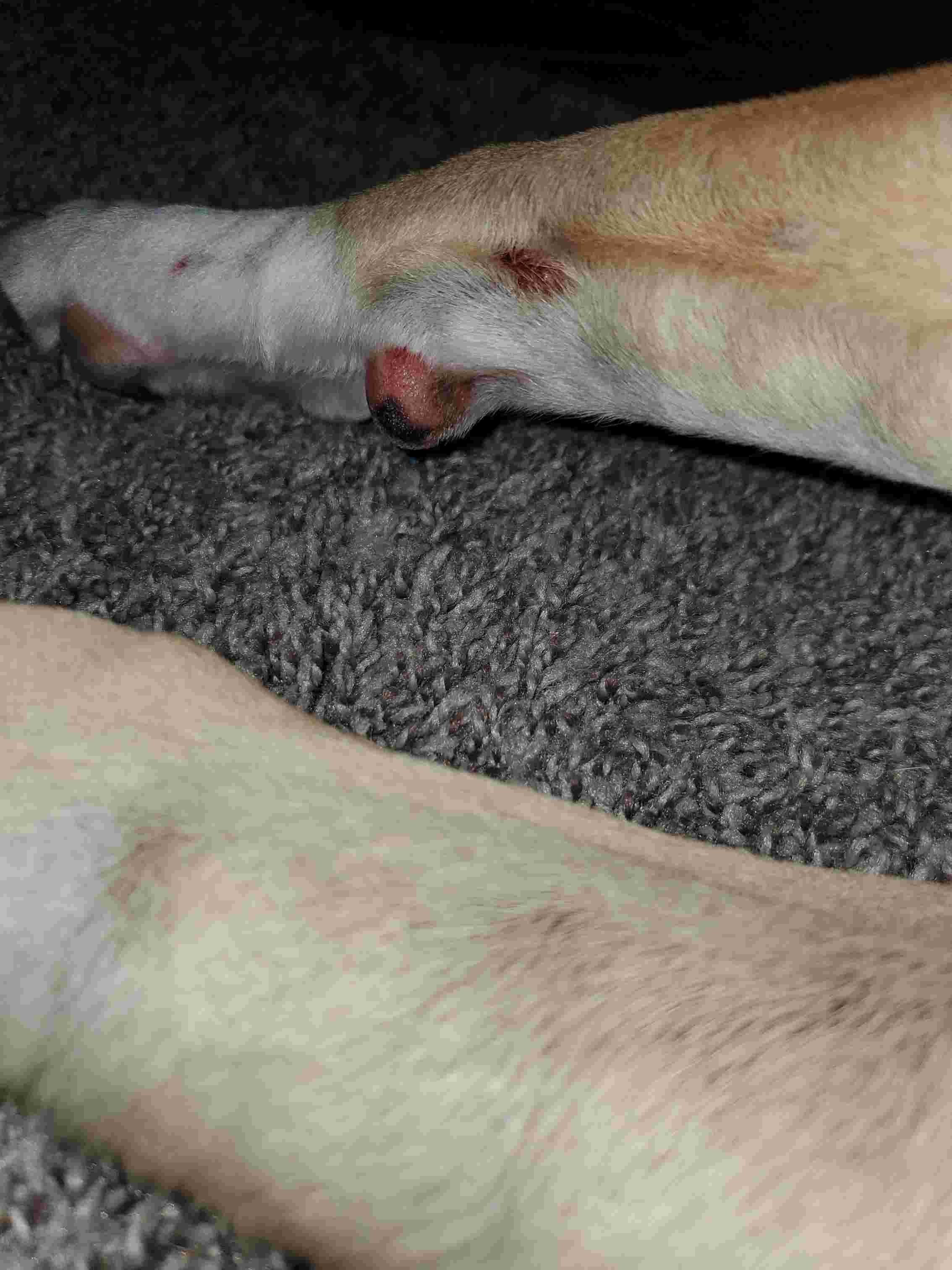 Question details sensitive content