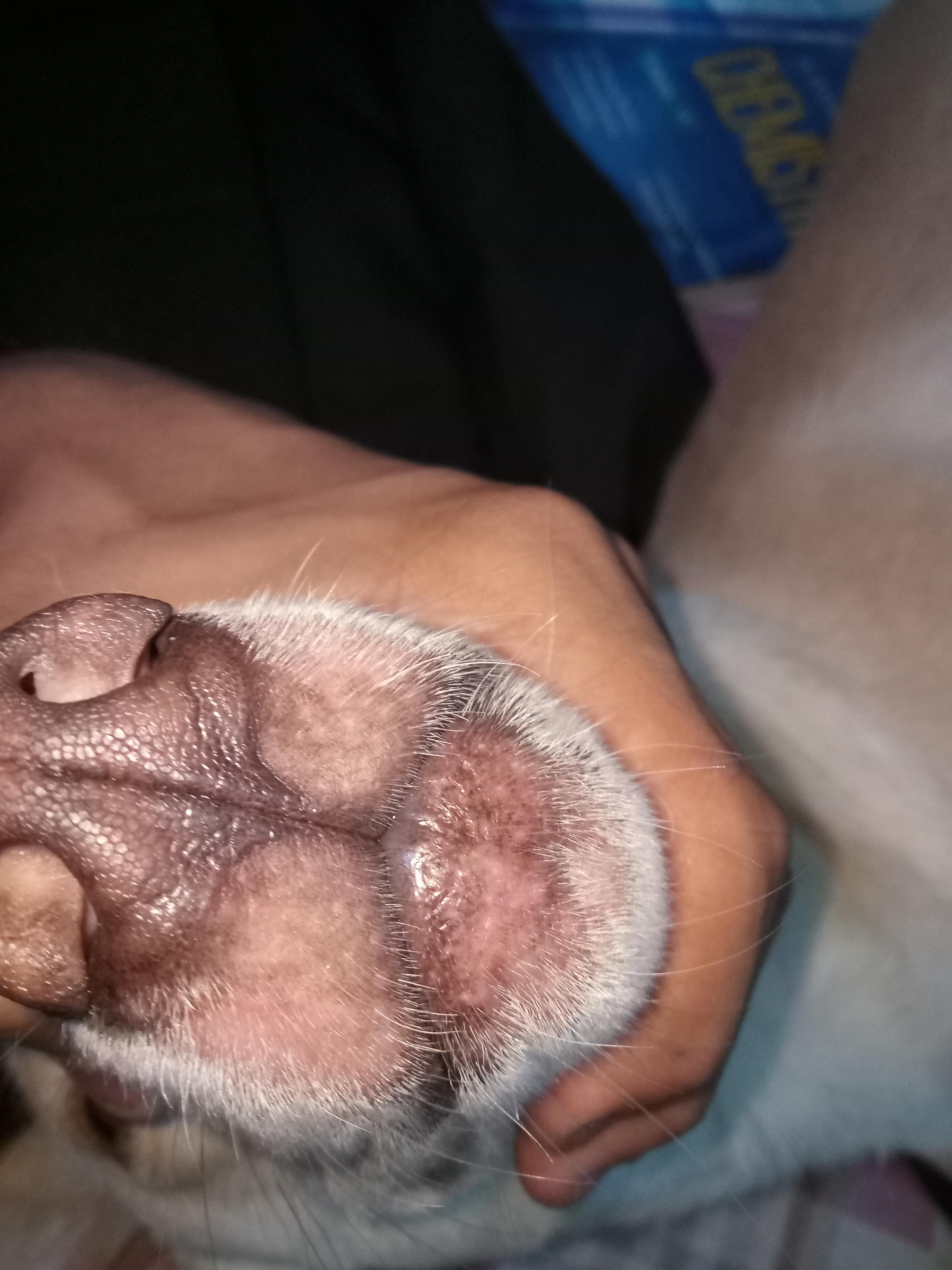 Question details sensitive content