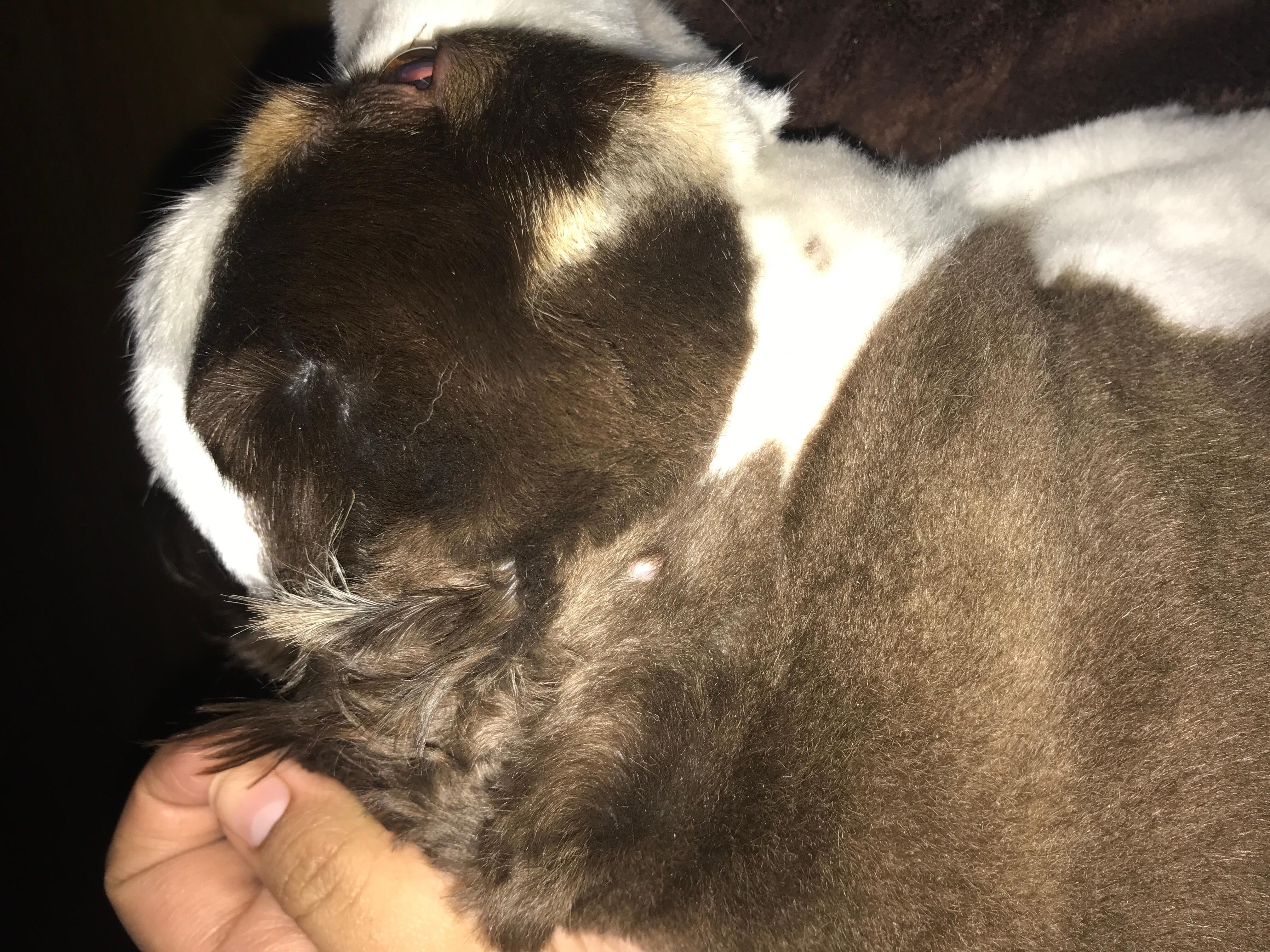 Question details sensitive content