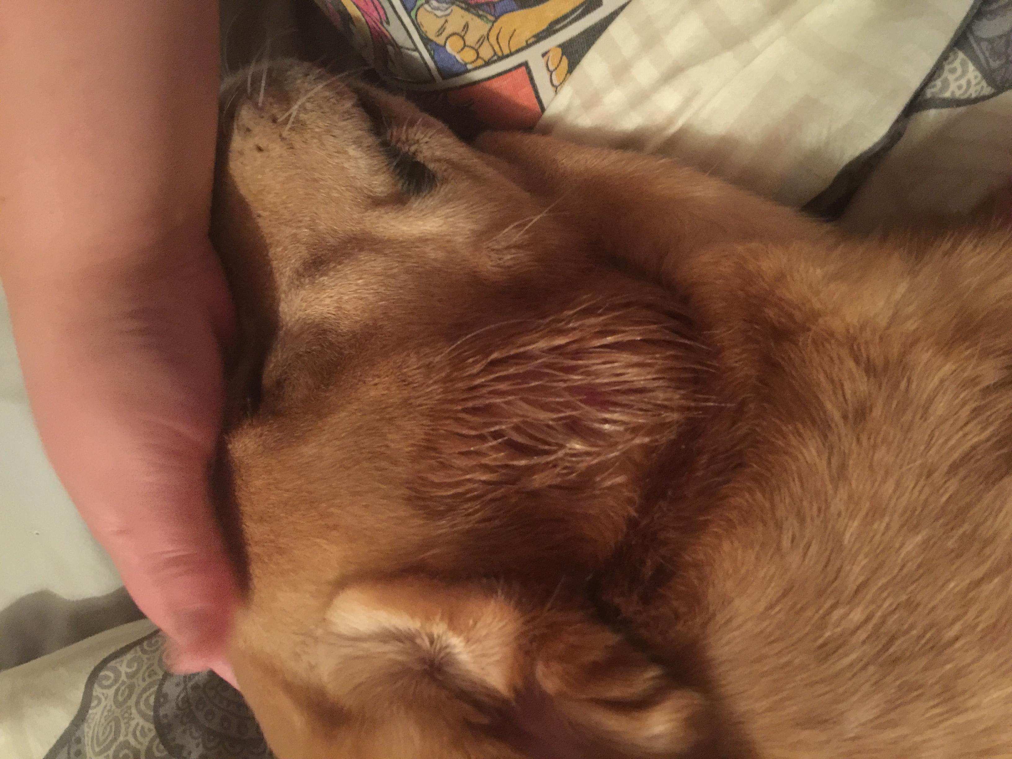 Question details sensitive content