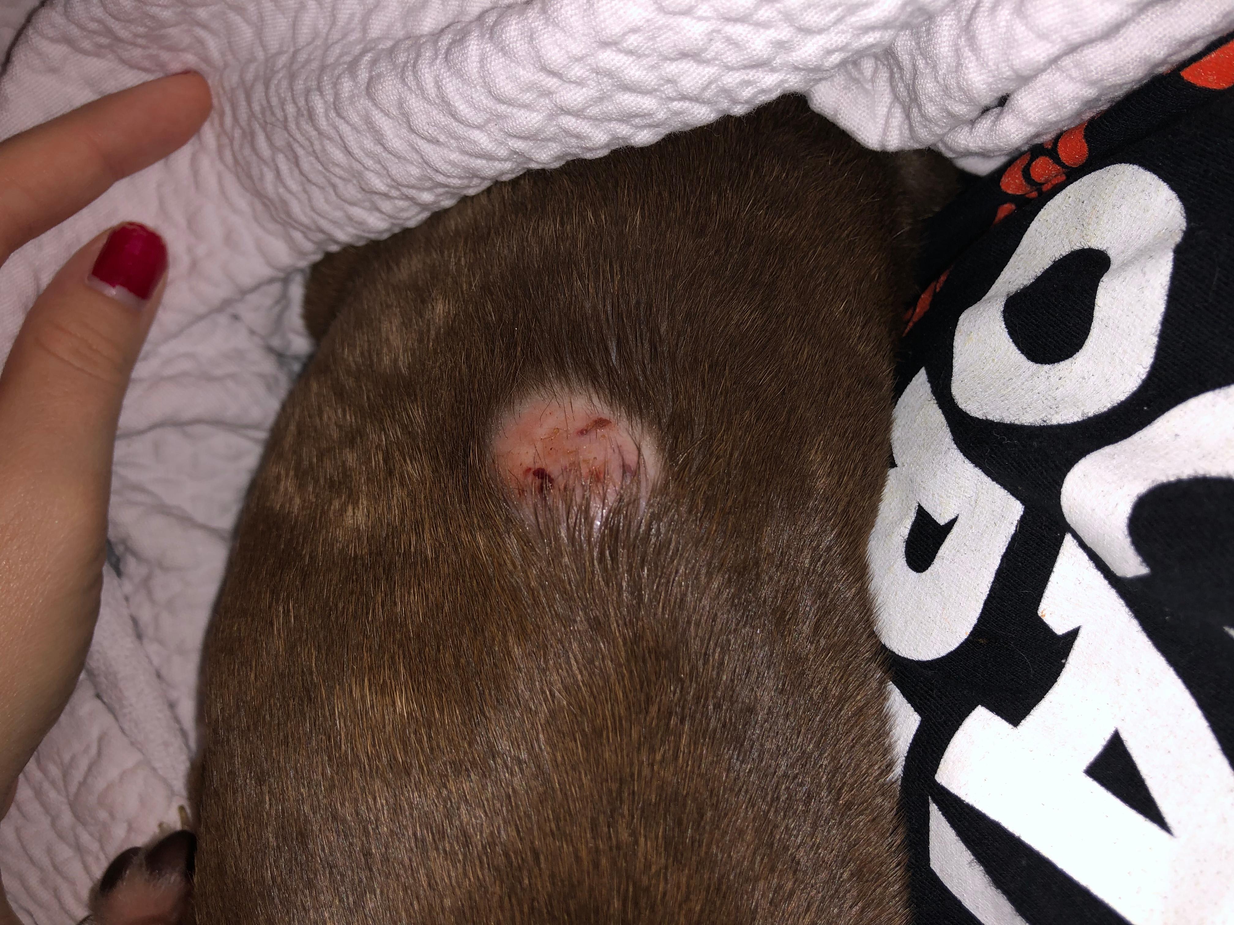 Question details sensitive content