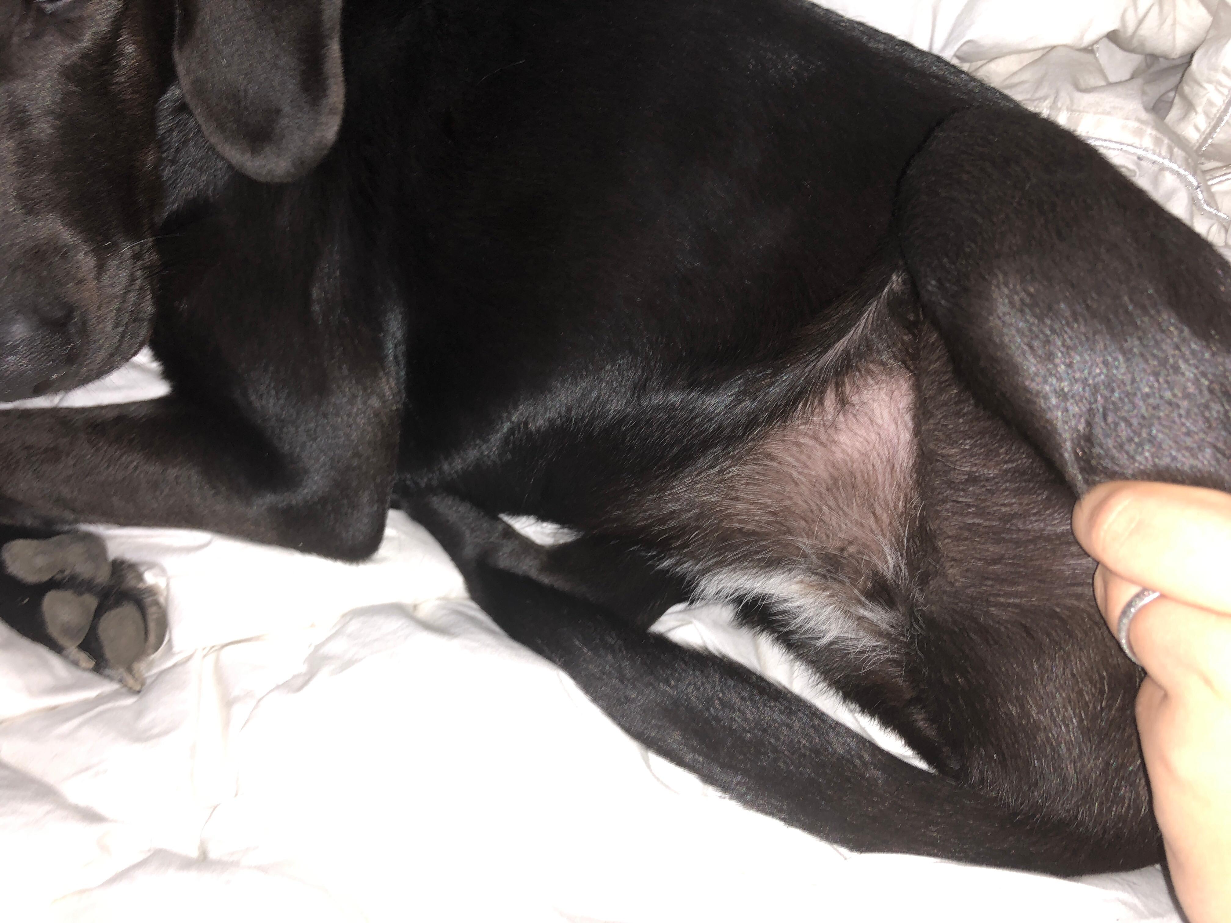 Question details sensitive content