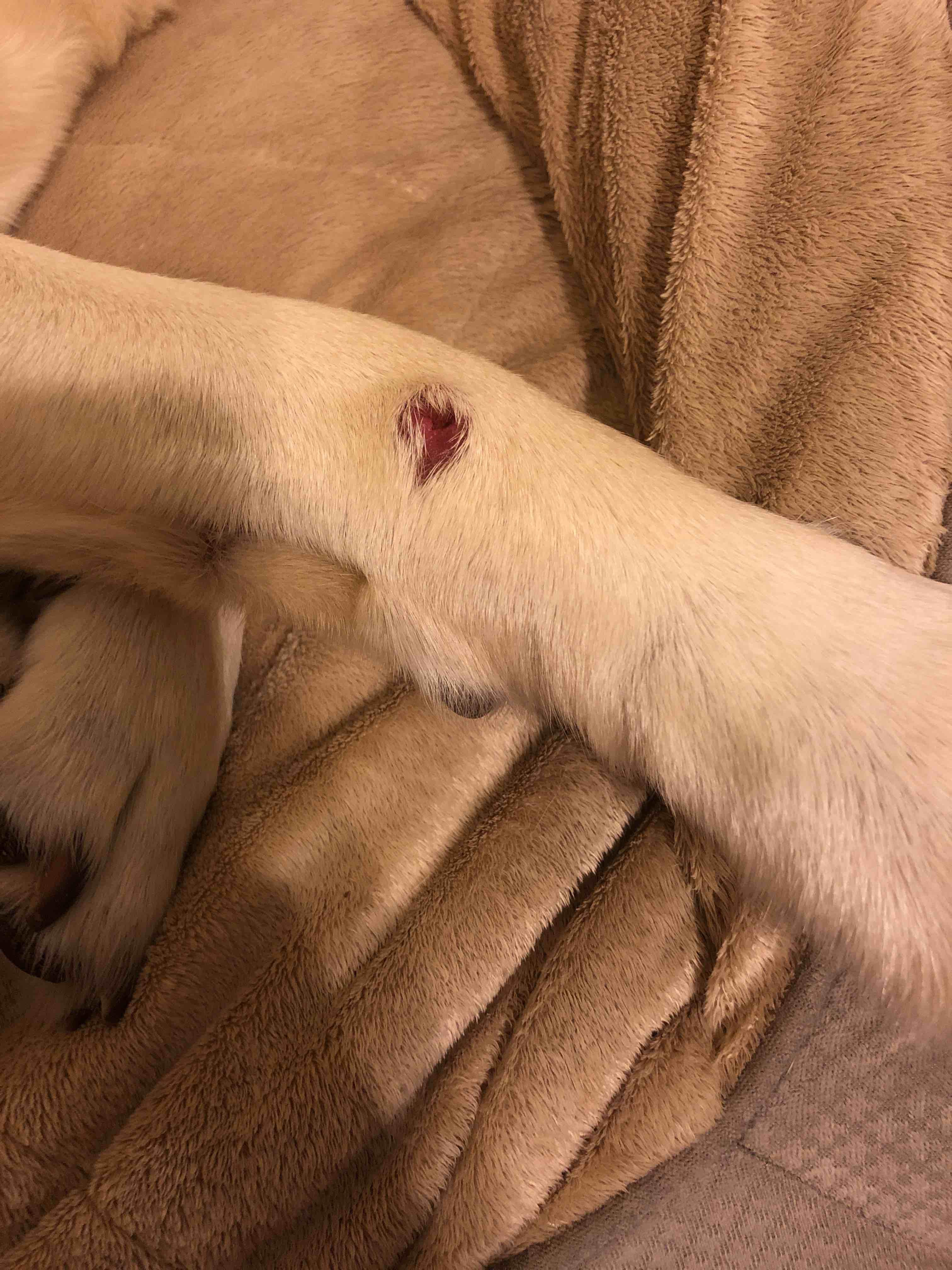 Question details sensitive content