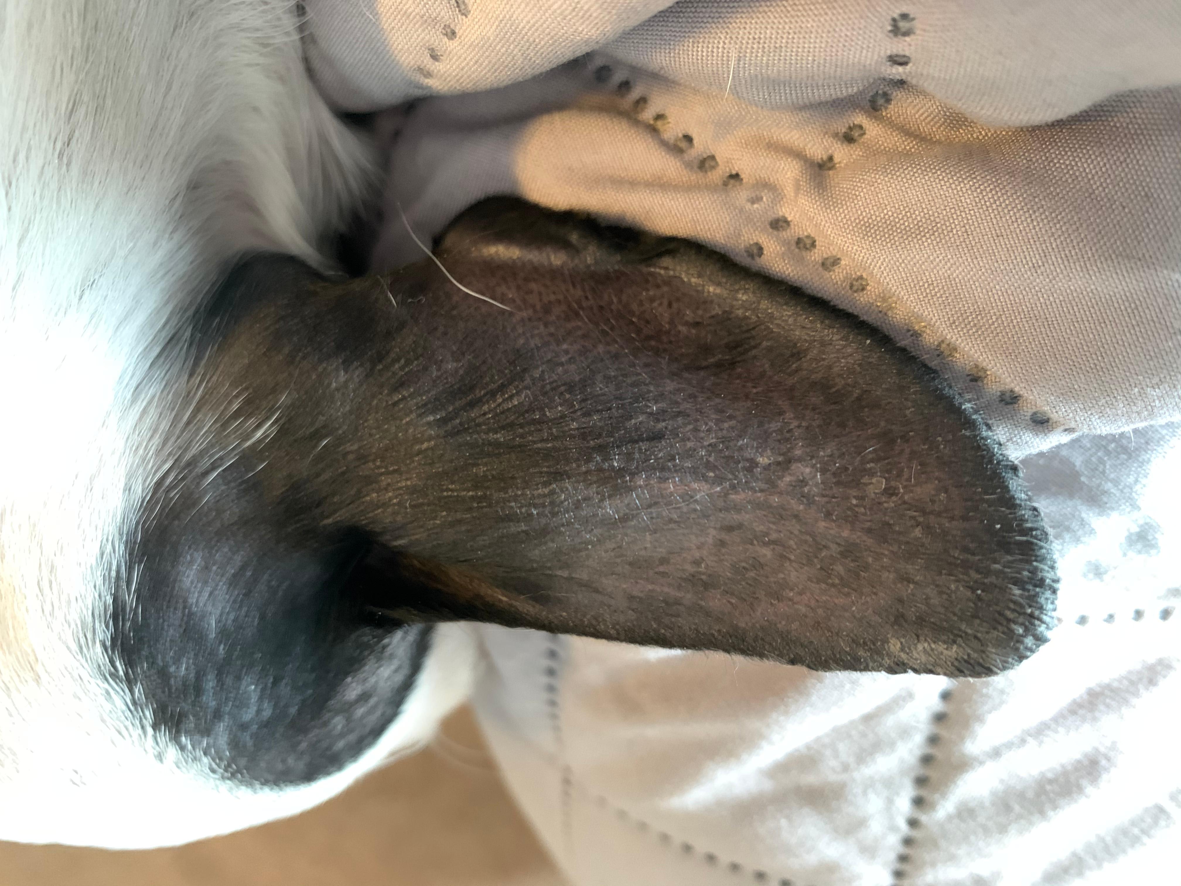 Question details sensitive content