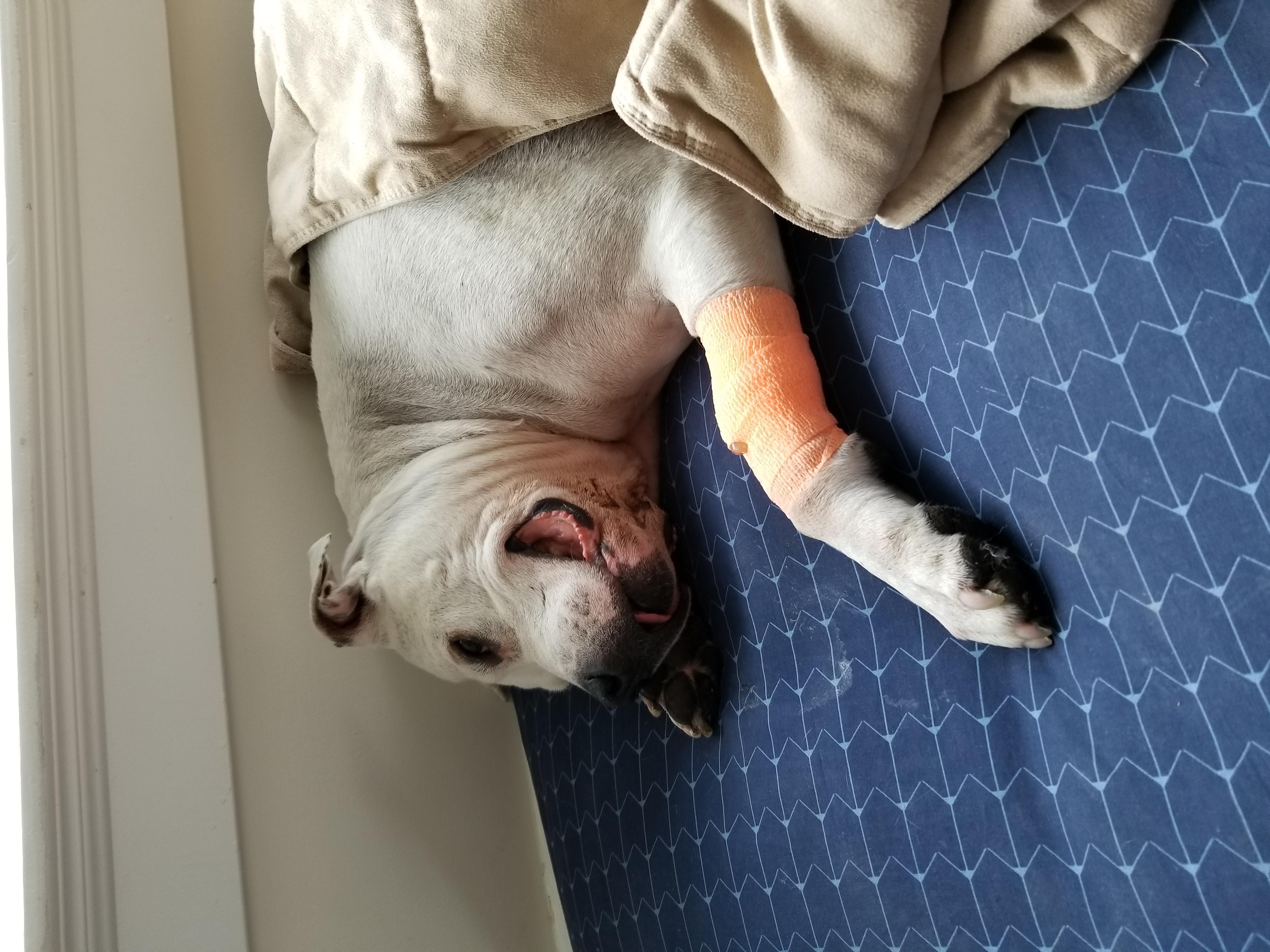 Question details sensitive content