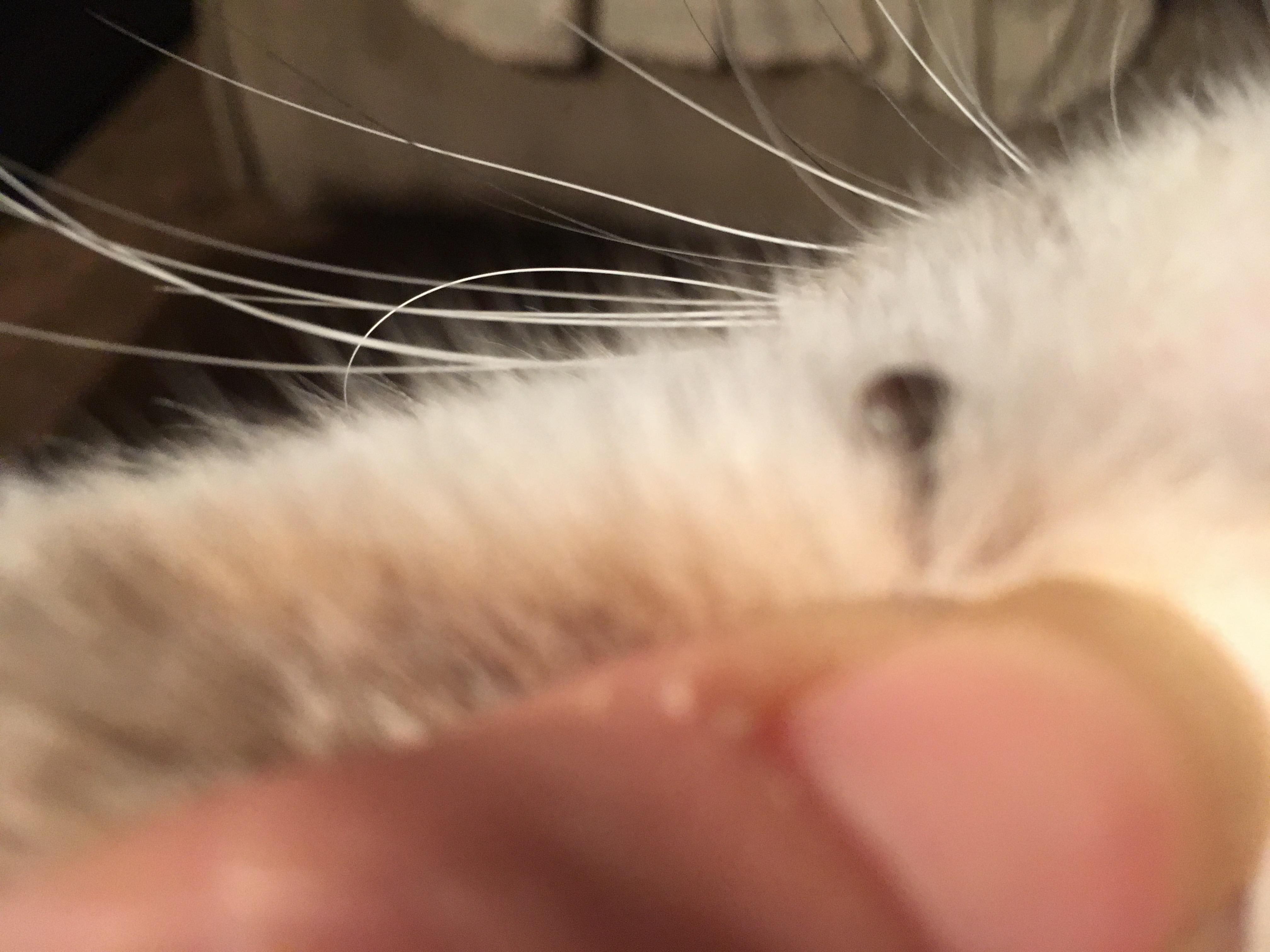 Question details sensitive content