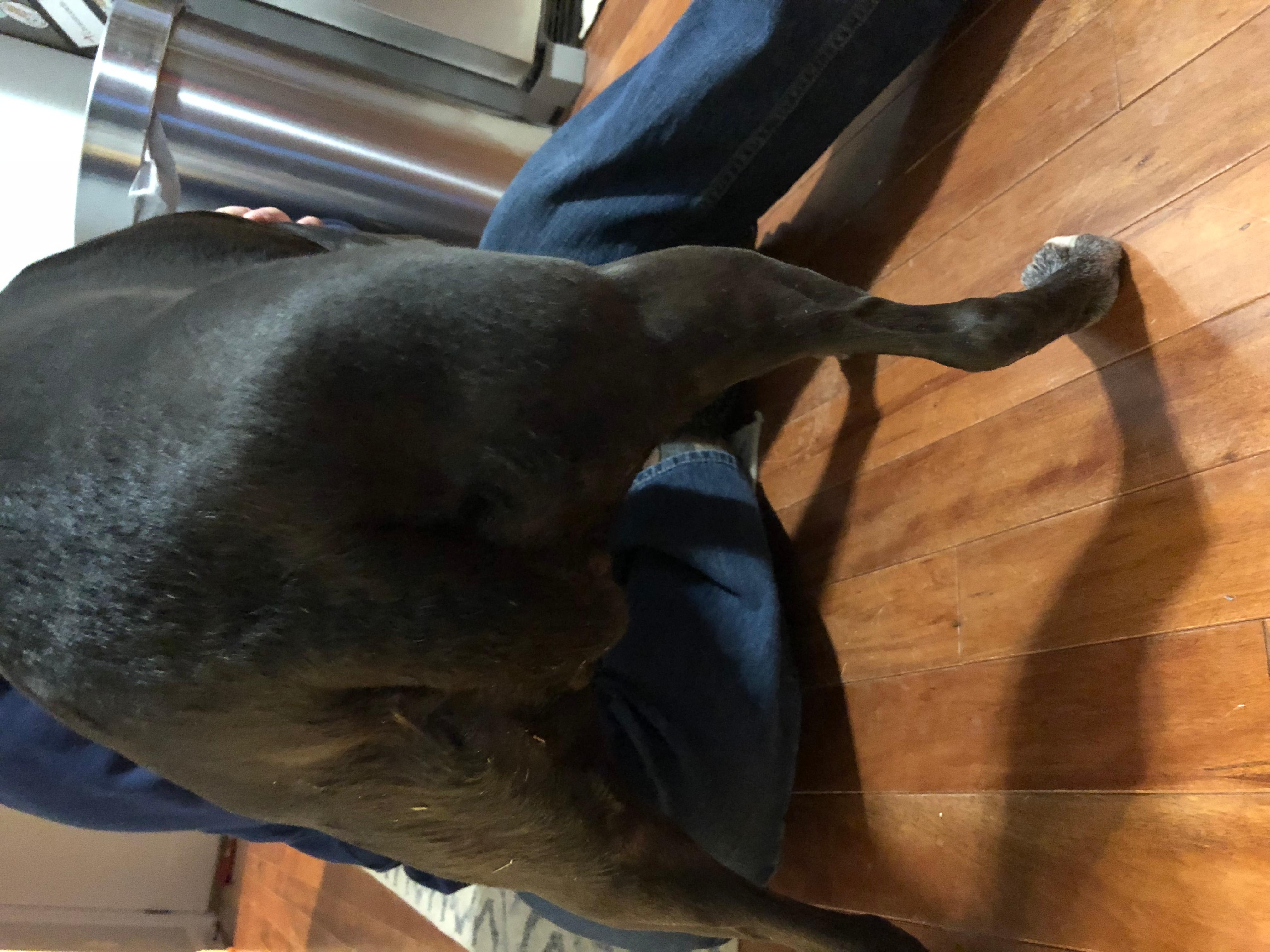 Question details sensitive content