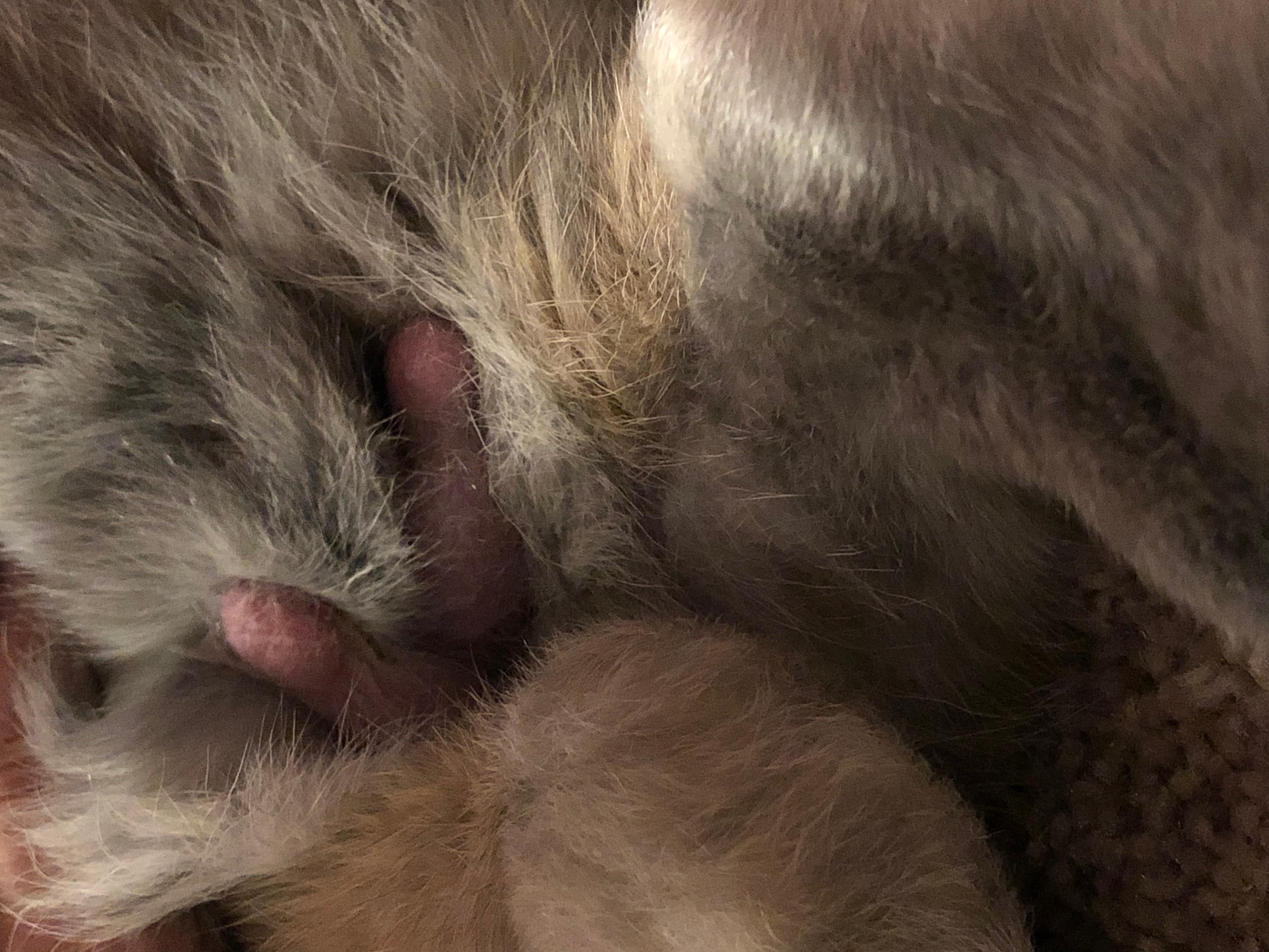 Question details sensitive content